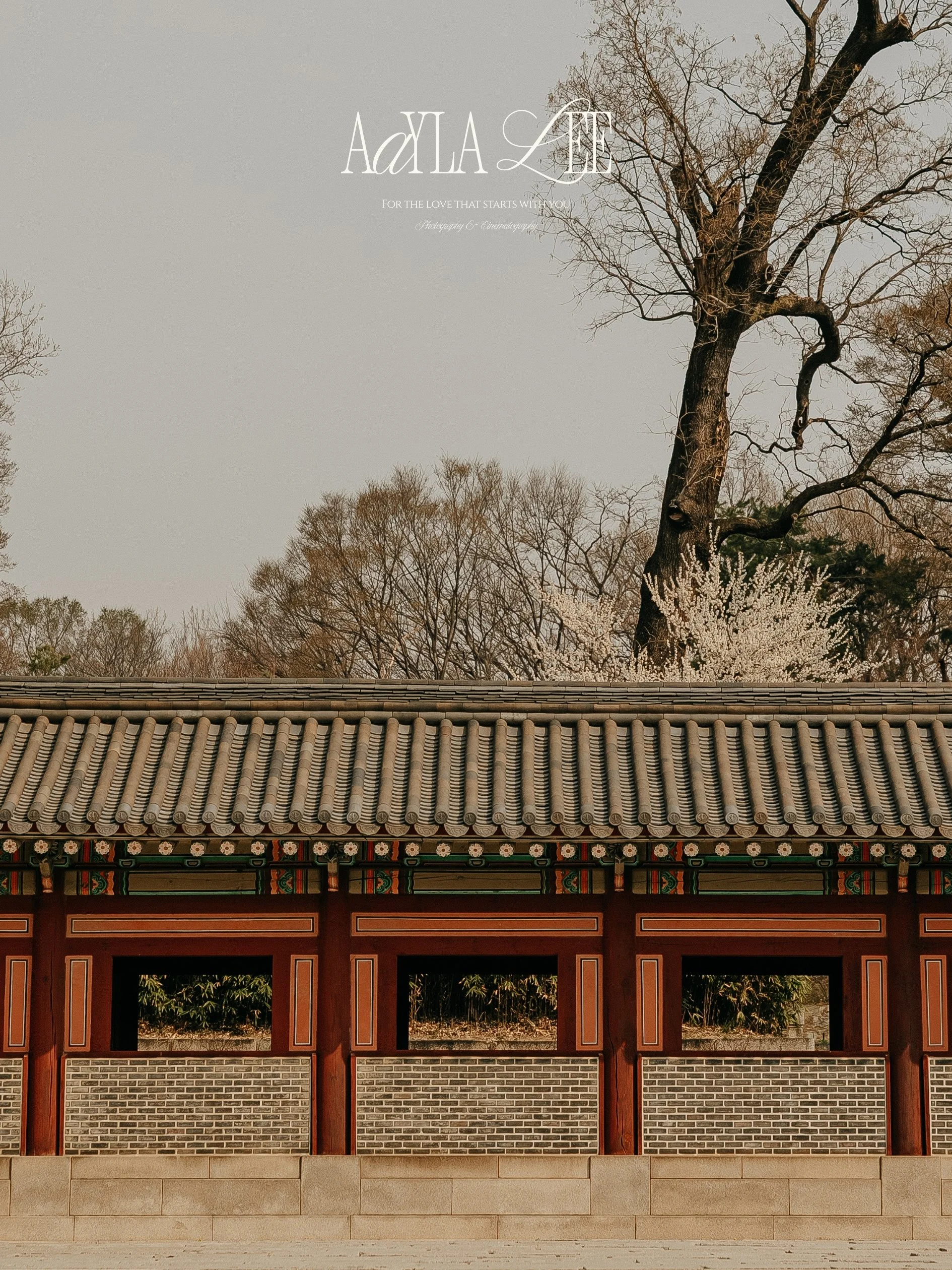 Seoul luxury hotel photographer capturing atmosphere and destination context