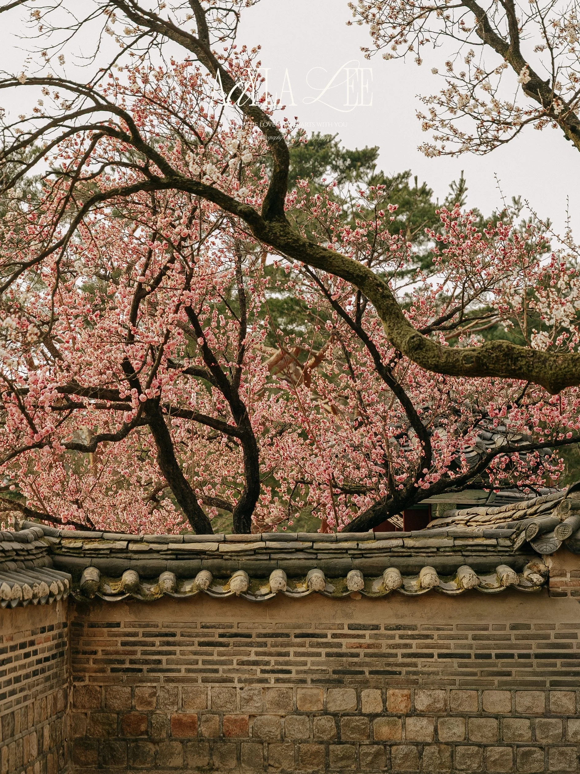 Professional hotel photographer in Seoul capturing cultural and architectural environments