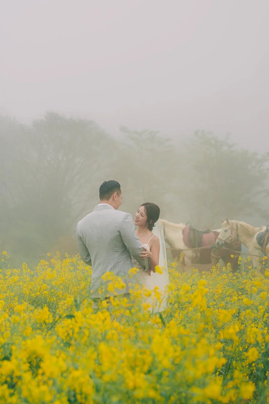 Atmospheric spring photoshoot in canola fields on Jeju Island with foggy golden tones replacing missing golden hour light