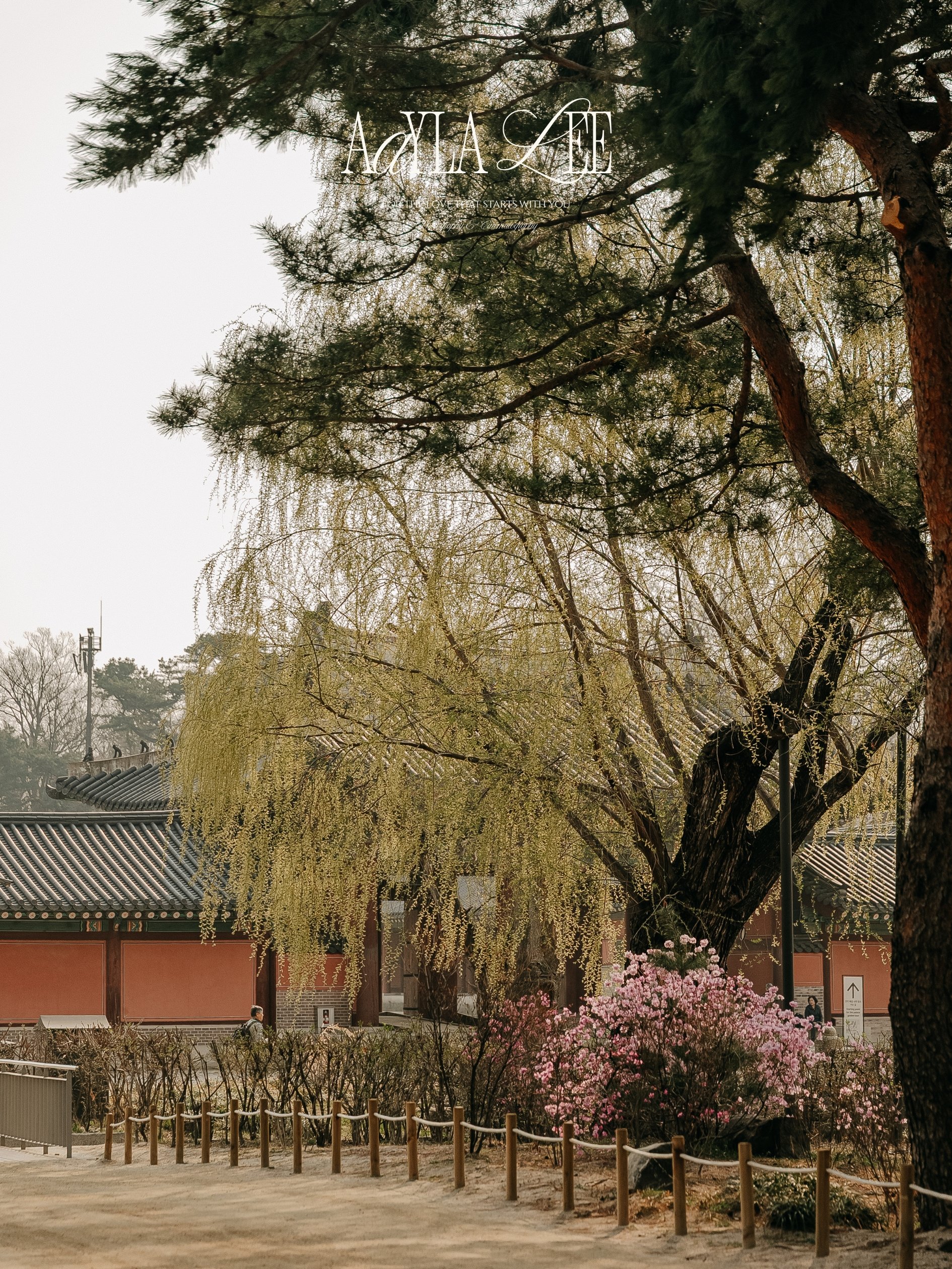 Hospitality and hotel marketing photography in Seoul featuring Changdeokgung Palace landscape