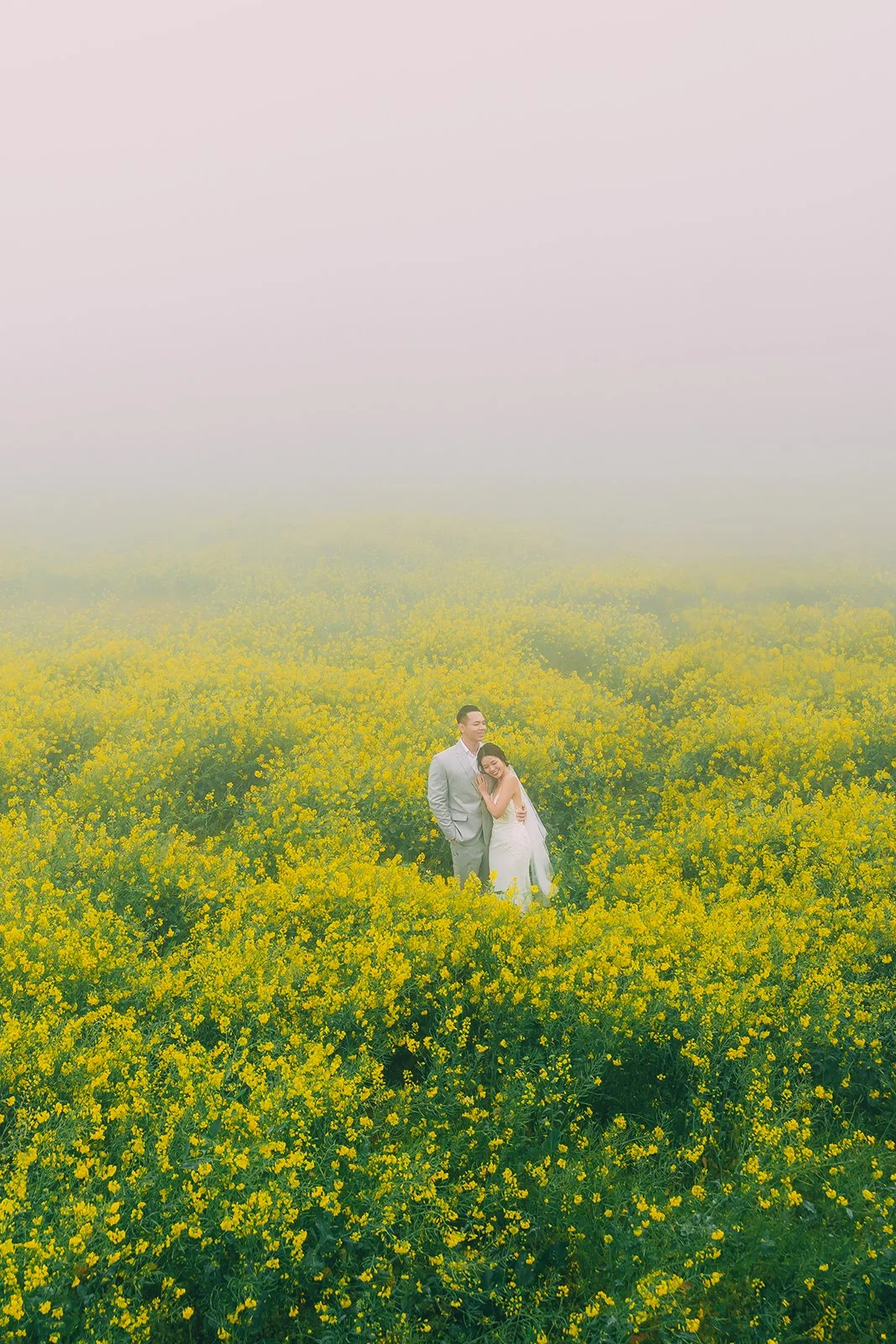 Solo travel portrait of a person with arms outstretched in yellow canola fields on Jeju Island, shot by lifestyle photographer Ayla Lee
