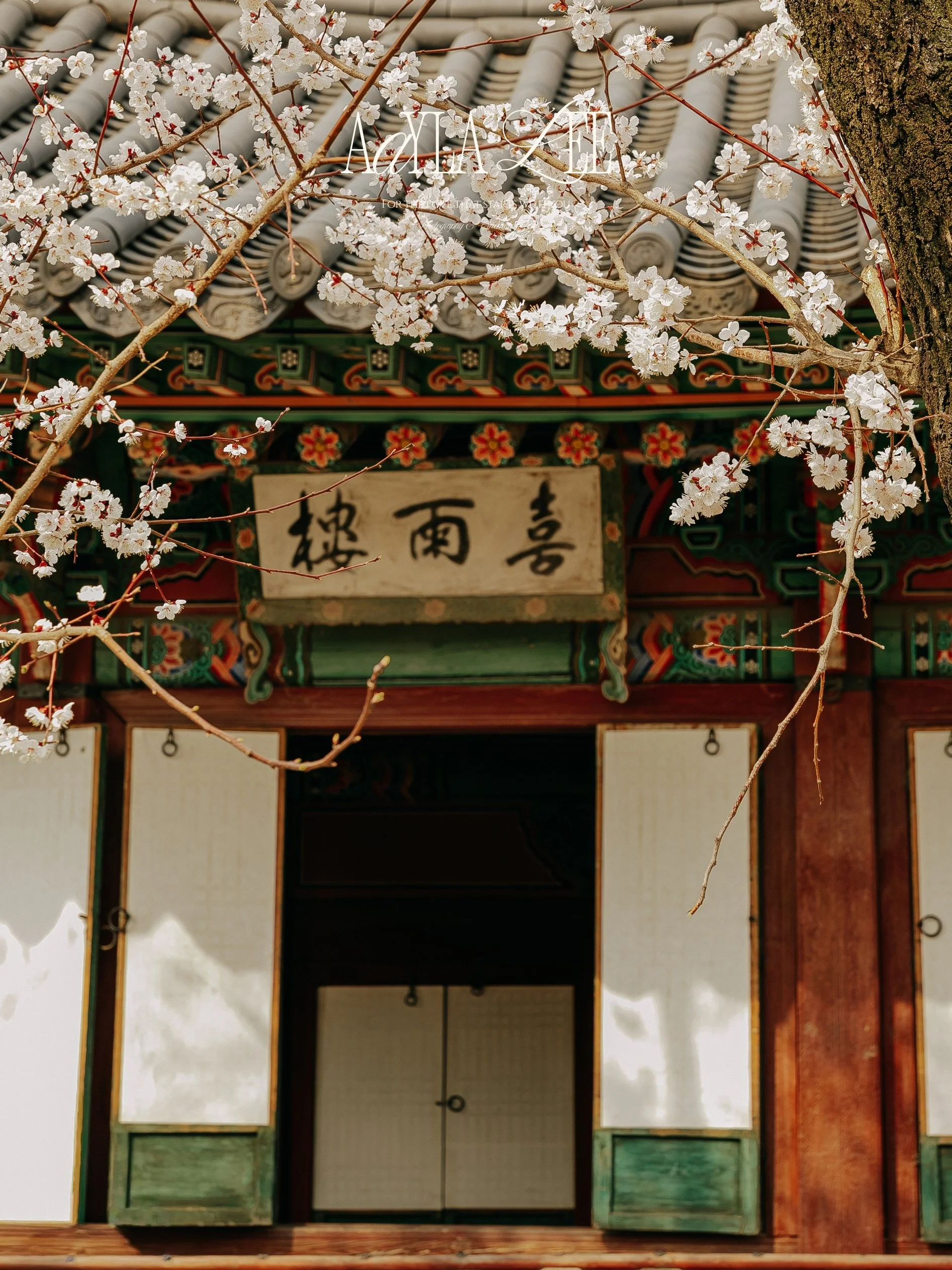 Travel photographer in Korea available for hotel and tourism board commissions
