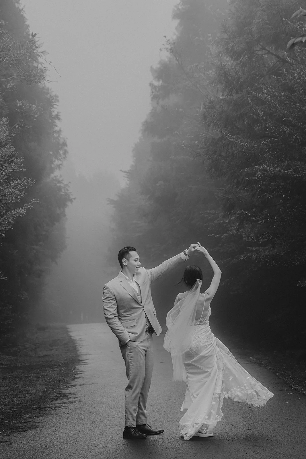 Misty morning lifestyle photograph of the tree alley near Blaize Resort Jeju Island with soft green and grey tones in the fog