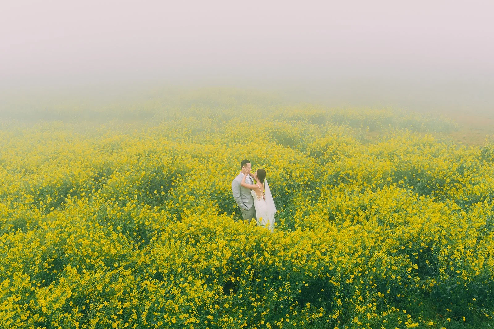 Cinematic travel photograph of a person walking through golden canola fields in spring on Jeju Island South Korea