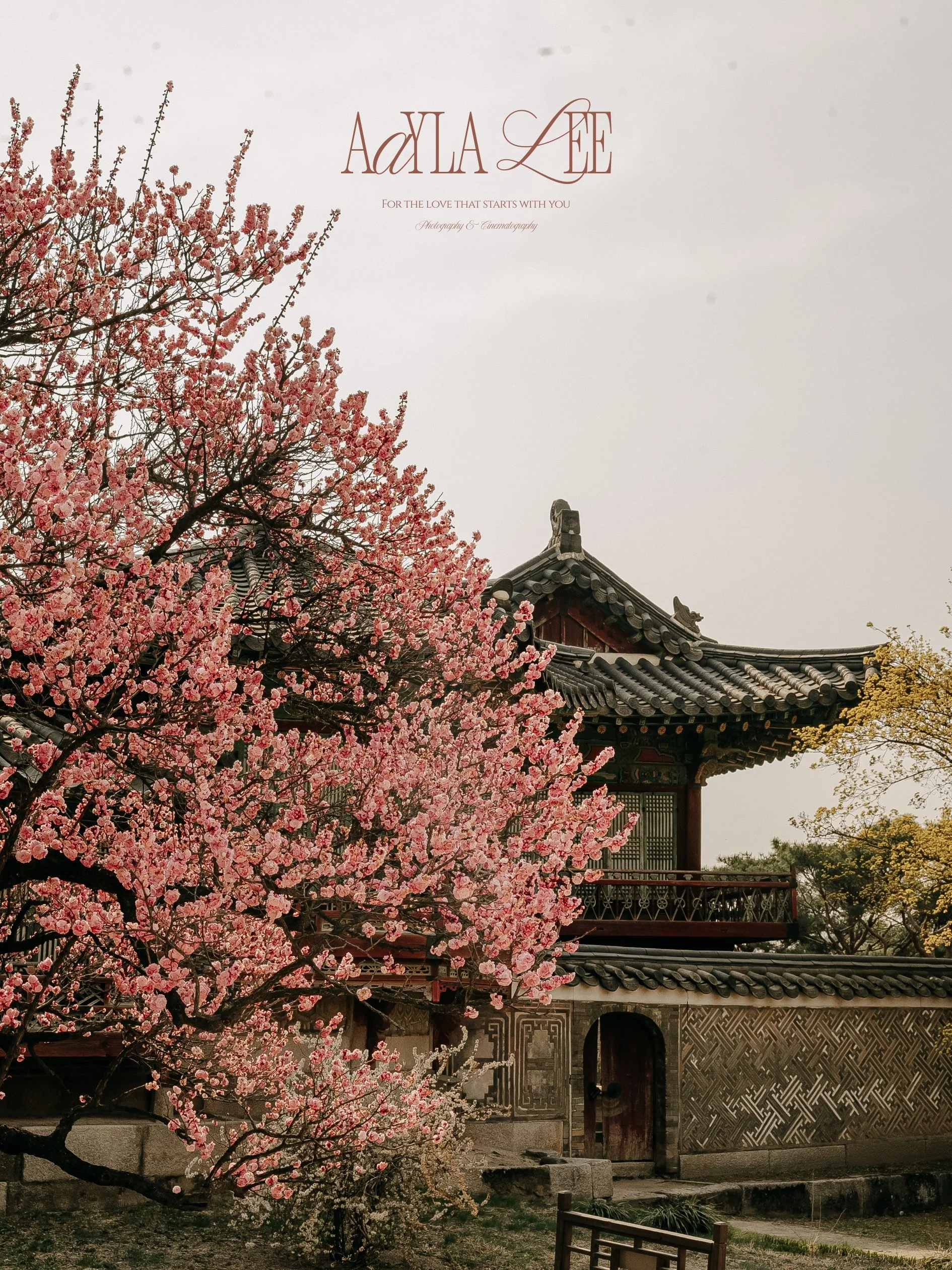 Korea tourism and hotel photographer documenting Changdeokgung Palace and Seoul landmarks
