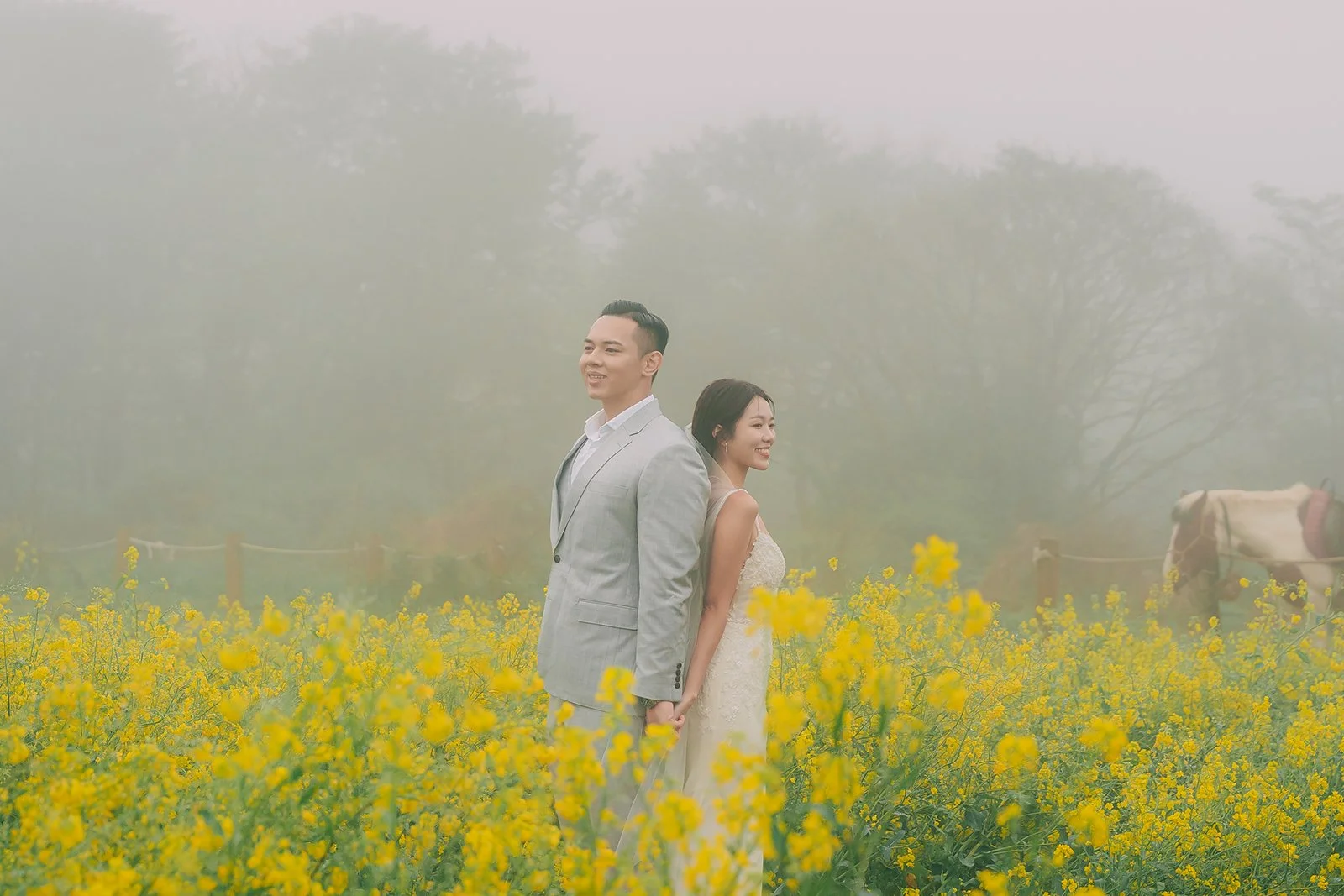 Vibrant yellow canola flowers in bloom on Jeju Island South Korea photographed during a spring lifestyle photoshoot