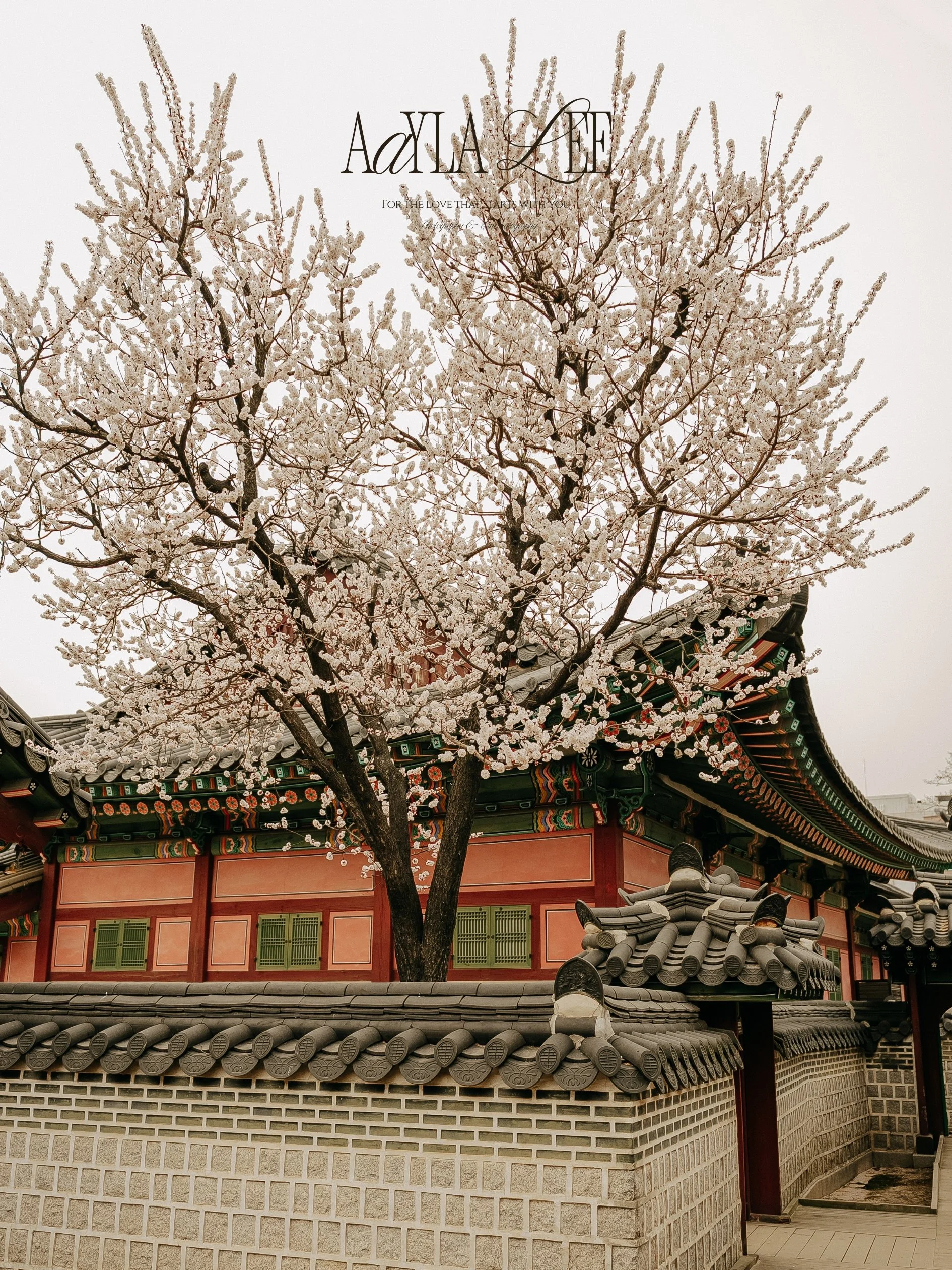 Luxury travel photographer Korea working with hotels, tourism boards, and editorial clients