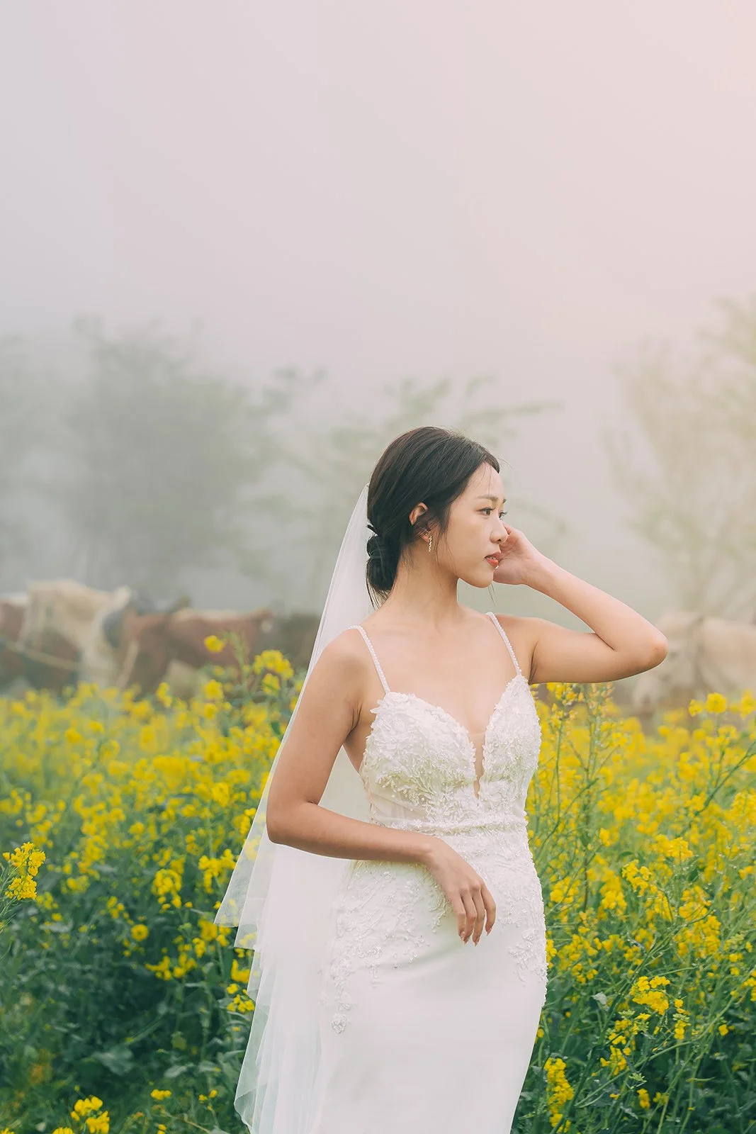 Couple walking through tall yellow canola flowers near Jorangmal Jeju Island with overcast foggy sky in the background