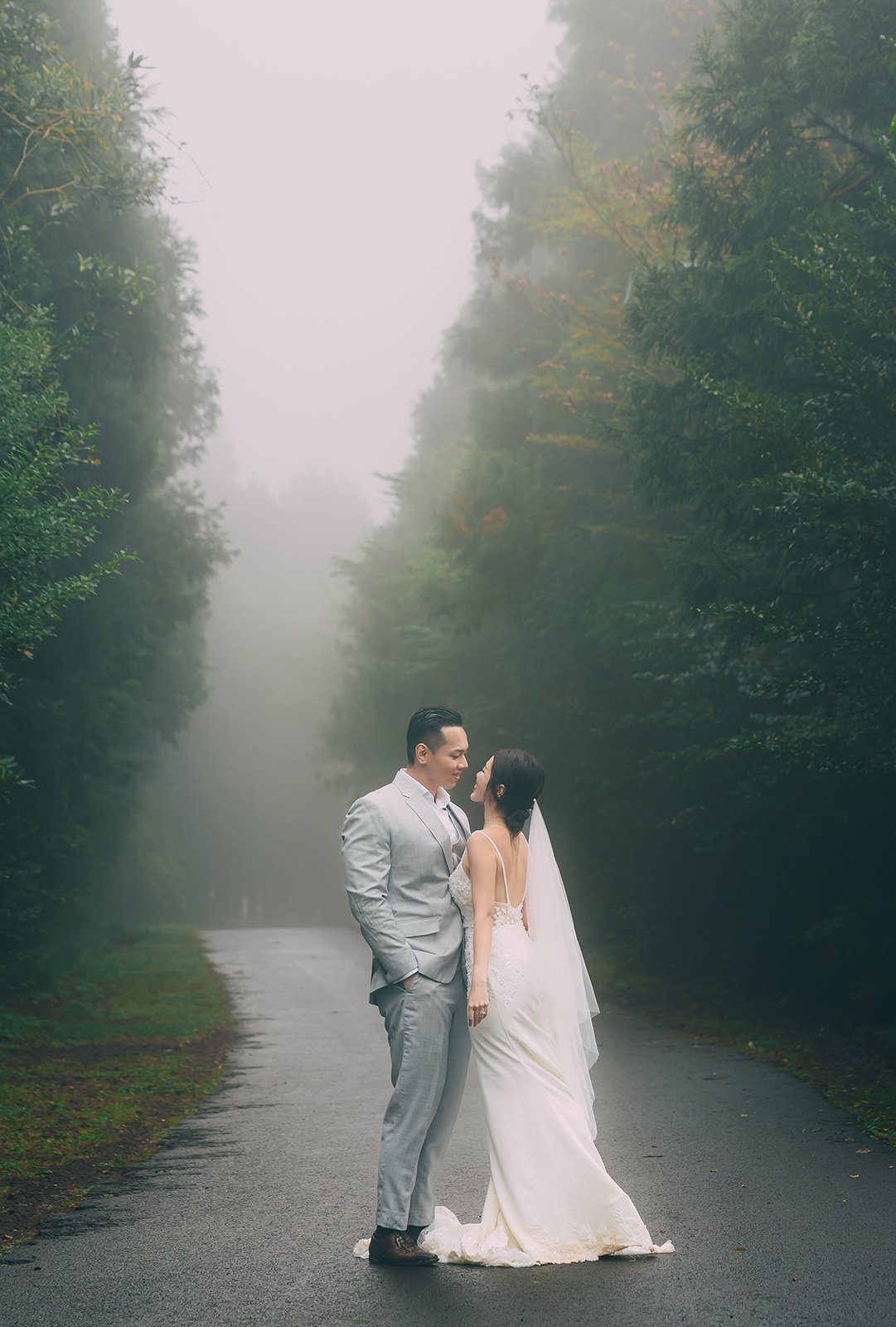 Tree-lined entrance road near Blaize Resort Jeju Island photographed in fog creating a dramatic and atmospheric hospitality image