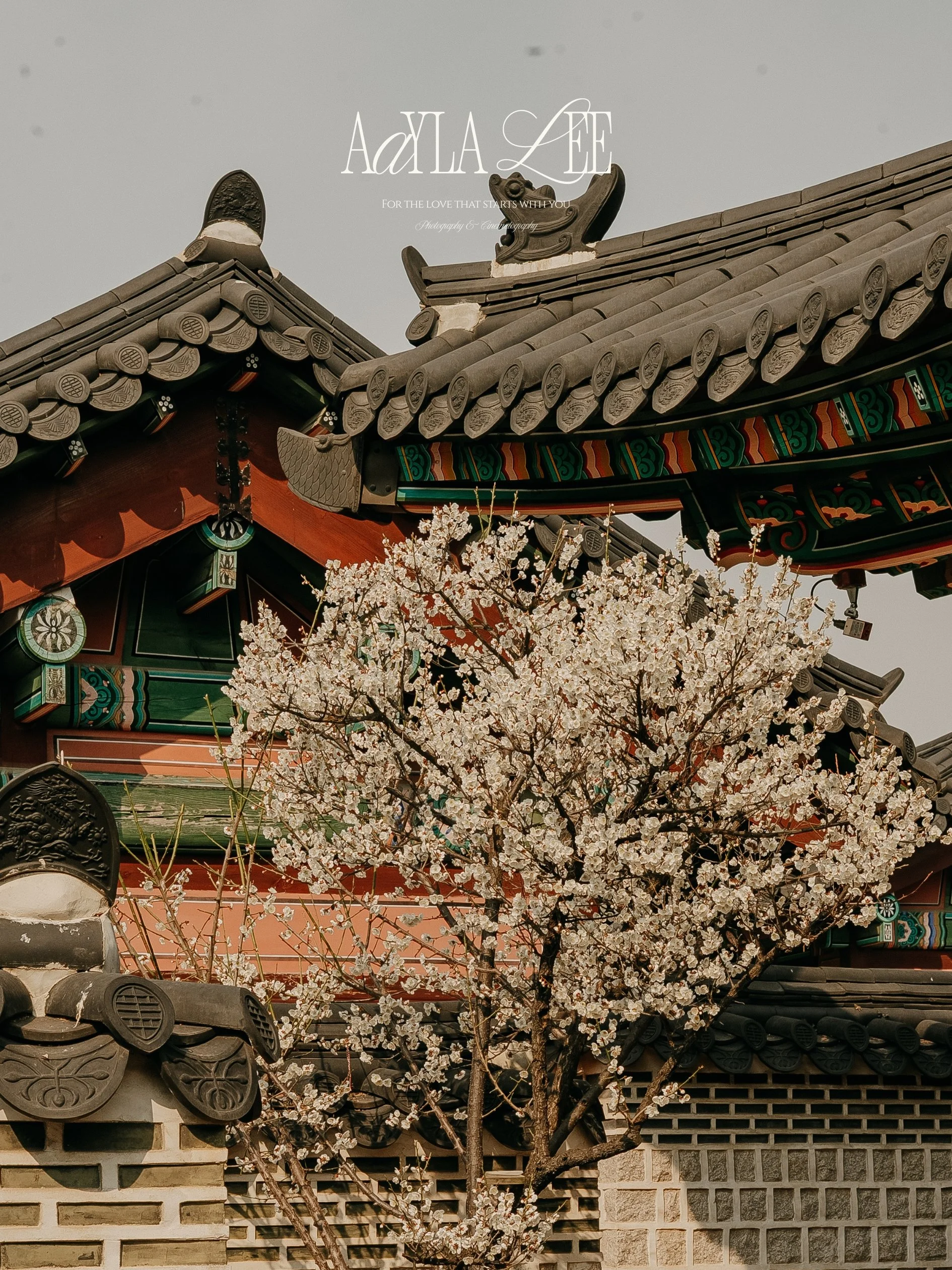 Destination photographer Seoul specializing in hospitality, hotels, and travel campaigns