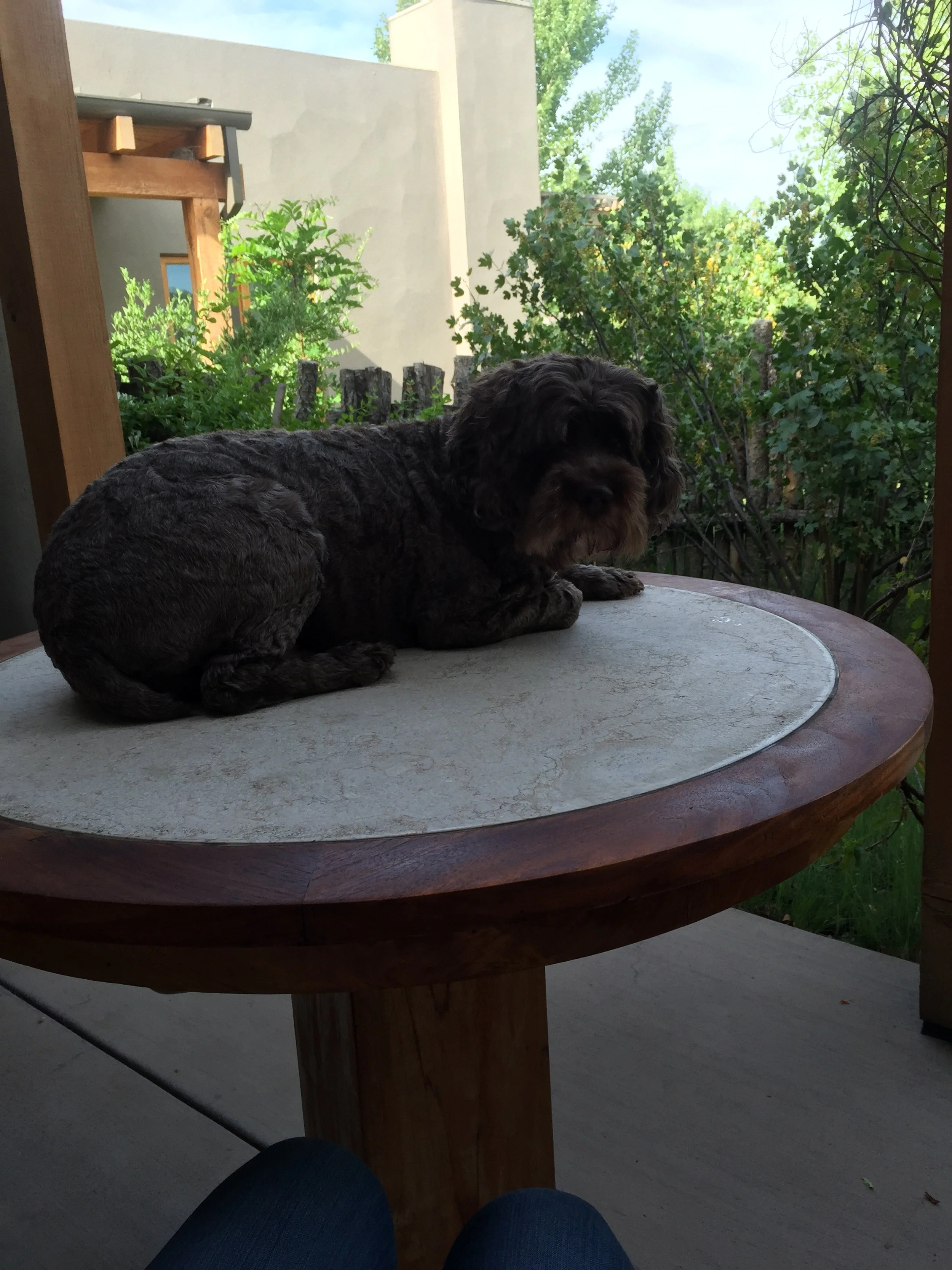 IMG_2203.jpeg