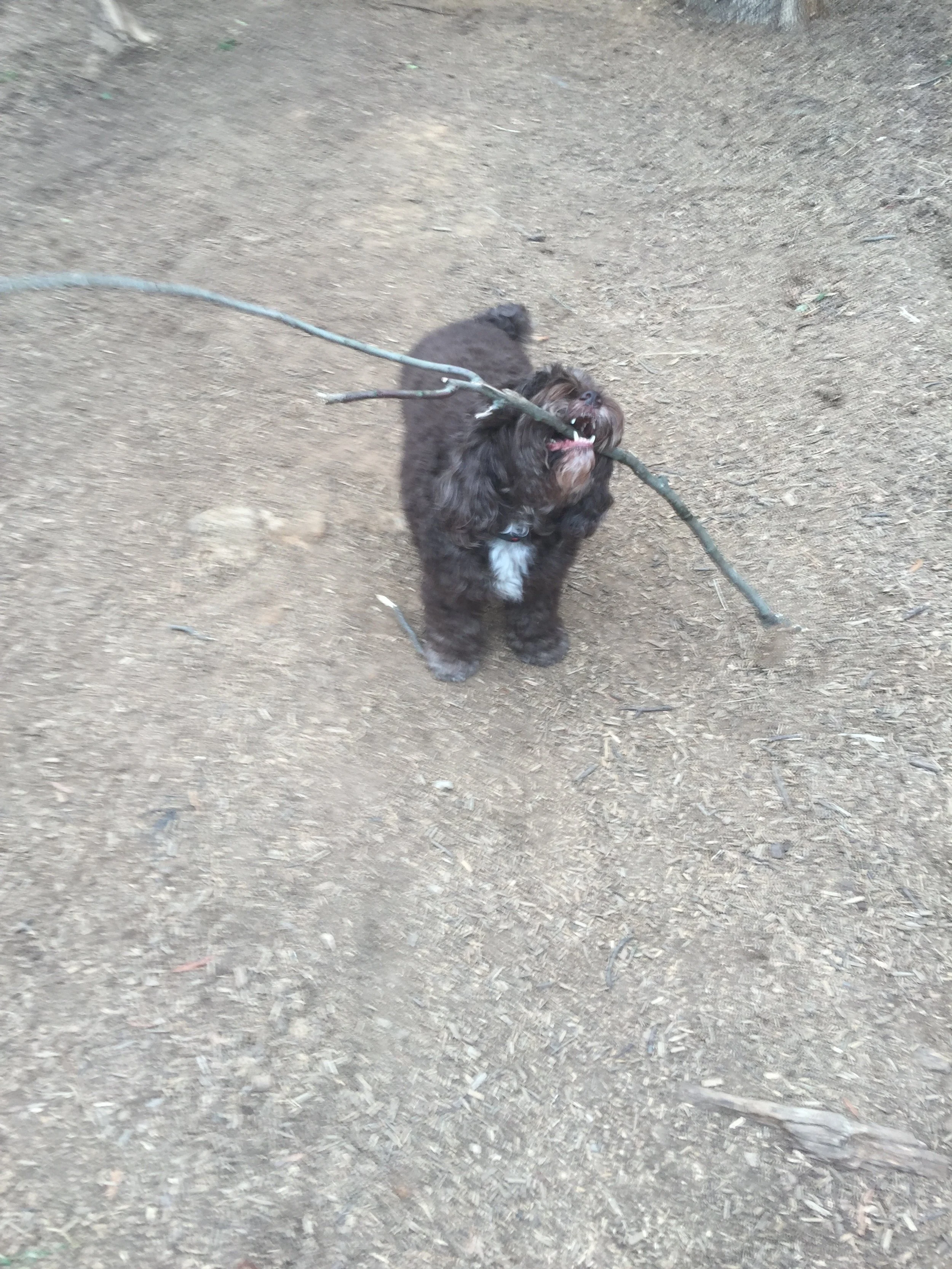 IMG_0819.jpeg