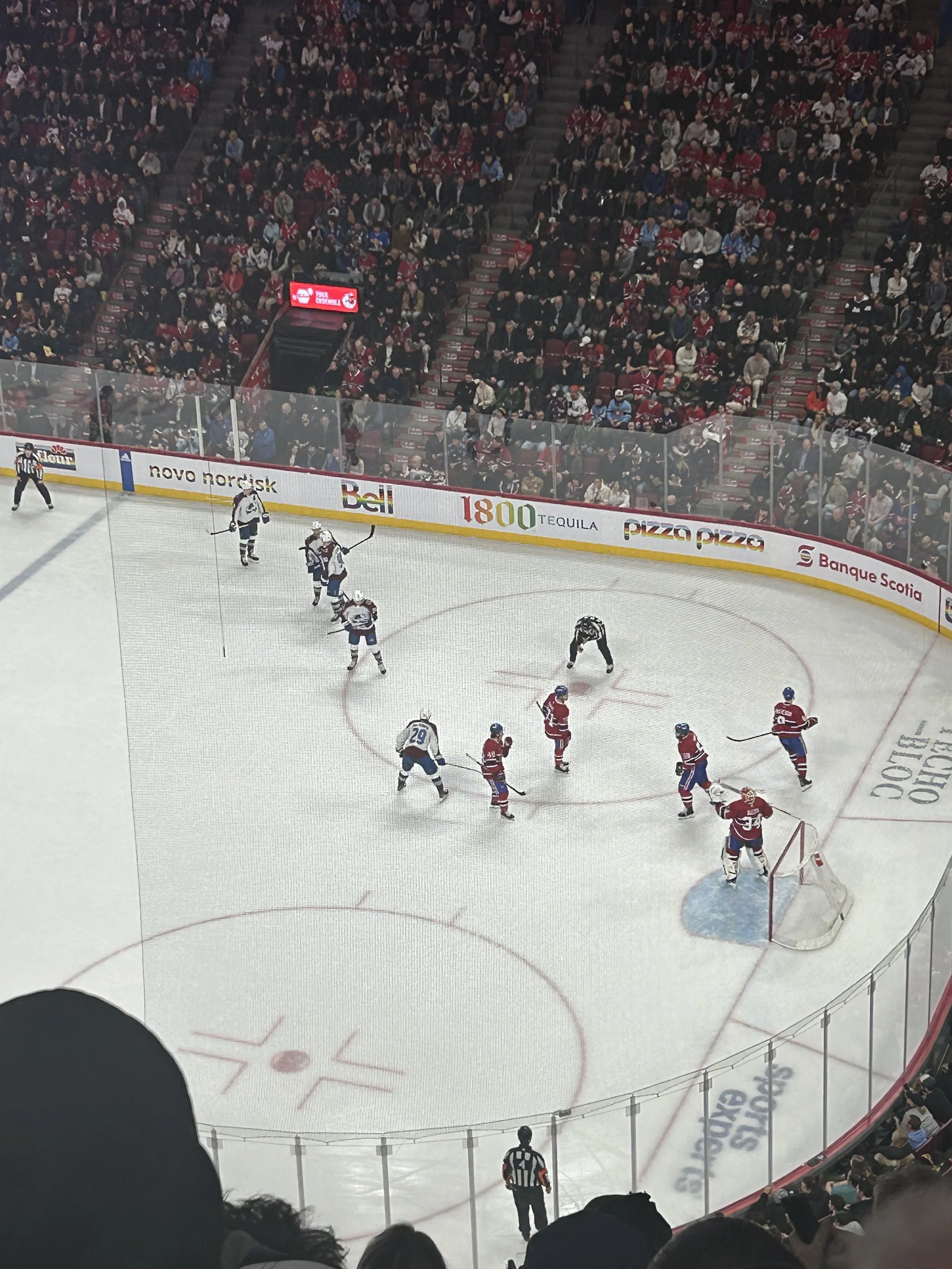 IMG_1224.jpeg