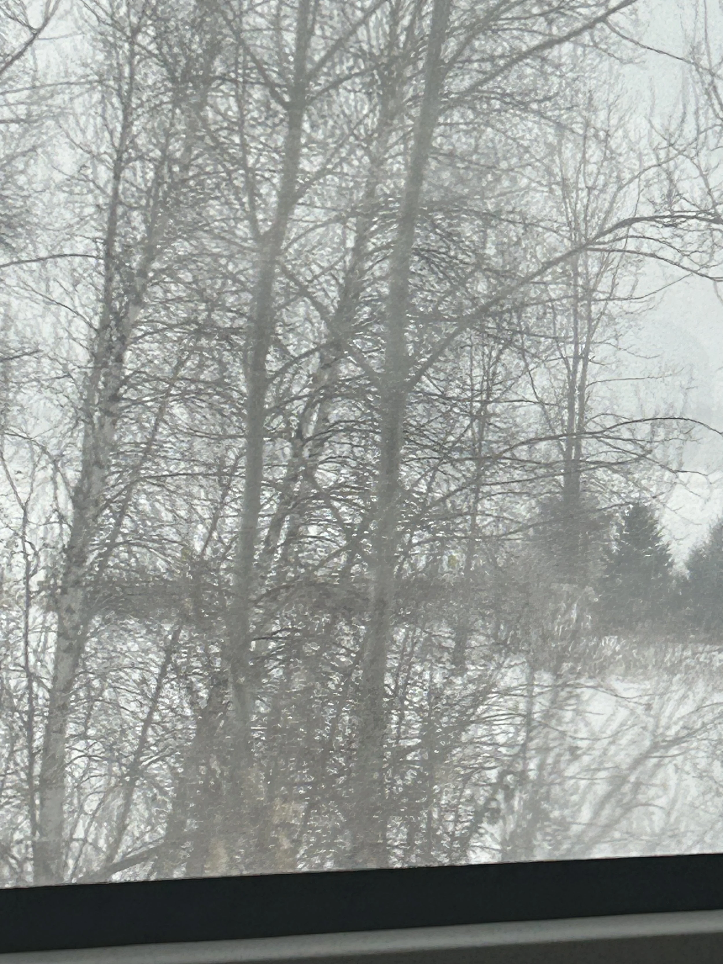 IMG_1248.jpeg