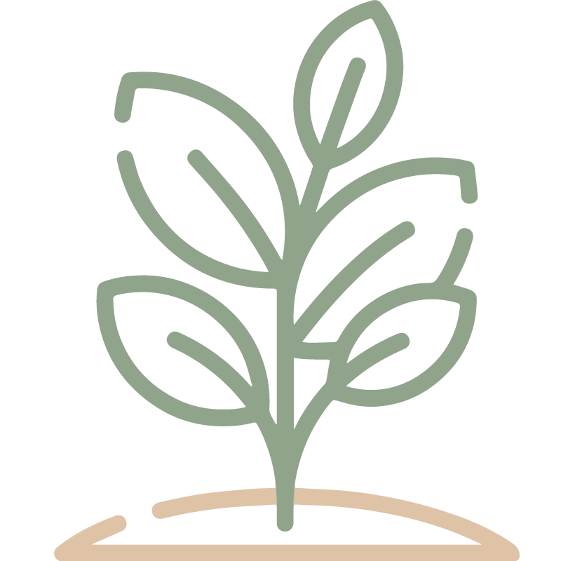 Réflexologie, alimentation, respiration, phytothérapie (tisanes), aromathérapie (huiles essentielles) dans le respect de vos besoins et de vos priorités.