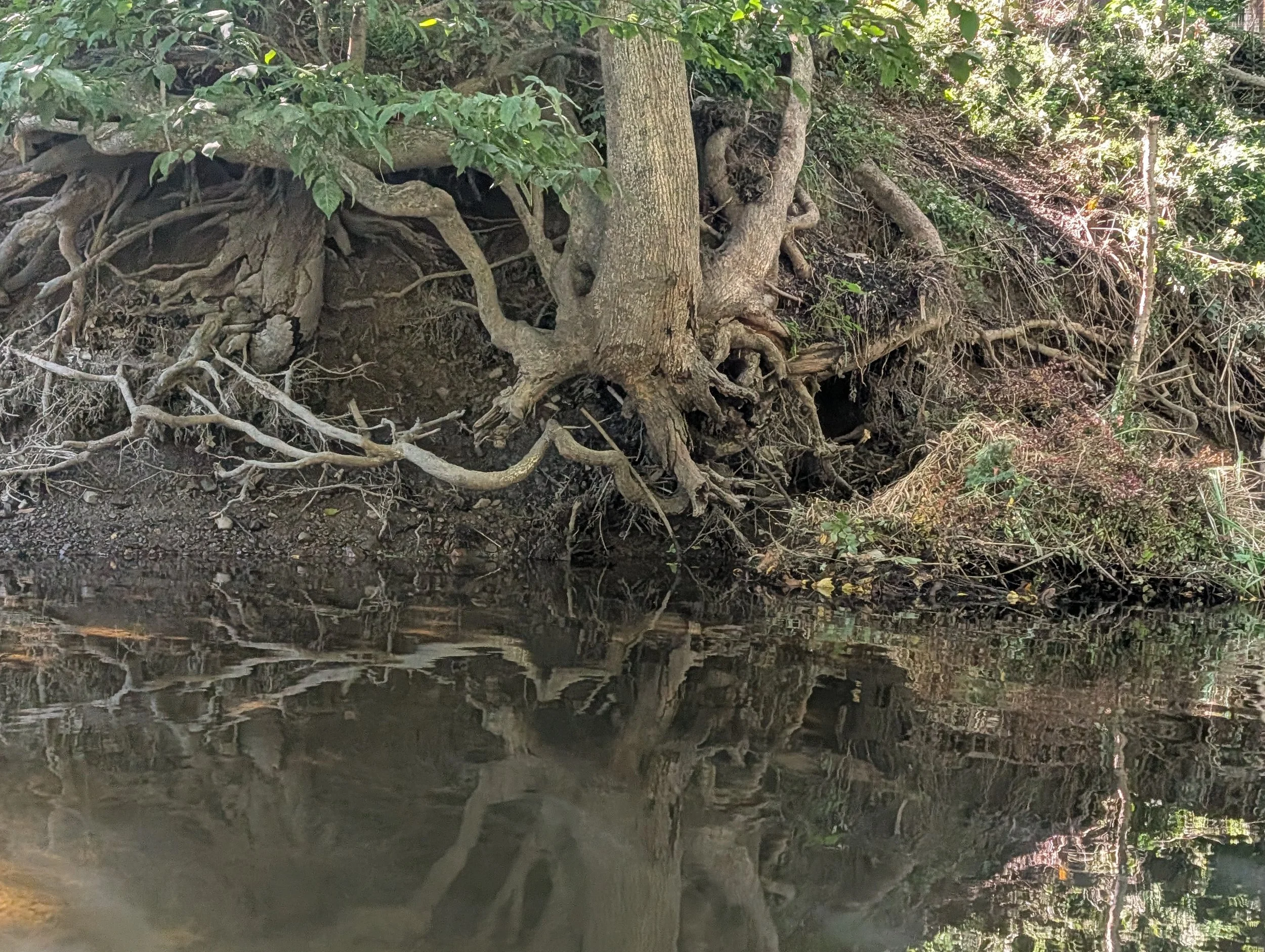 Connect with Your Inner Silence Through Acupuncture