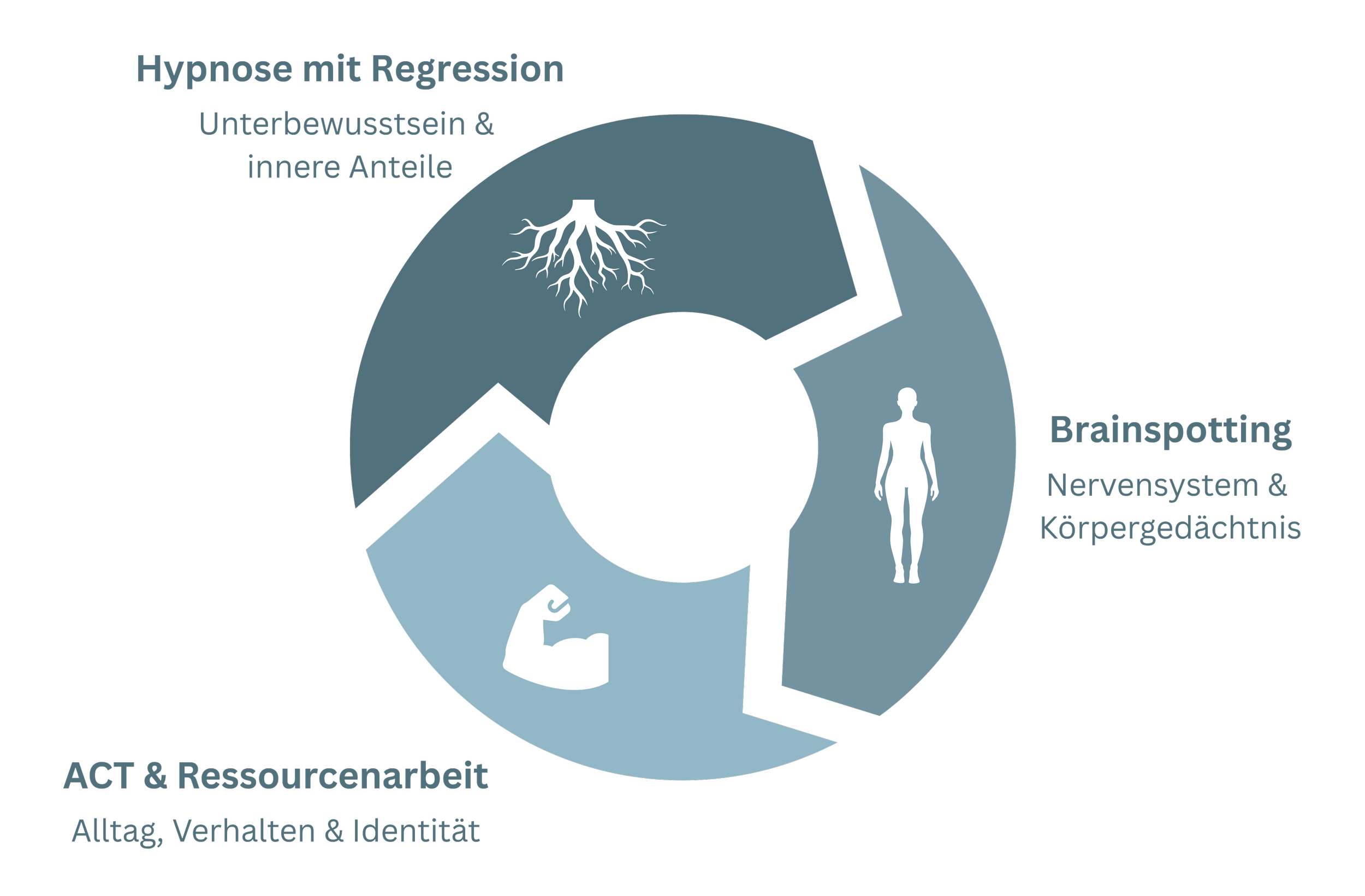 Model Hypnose, Brainspotting und ACT mit Ressourcenarbeit