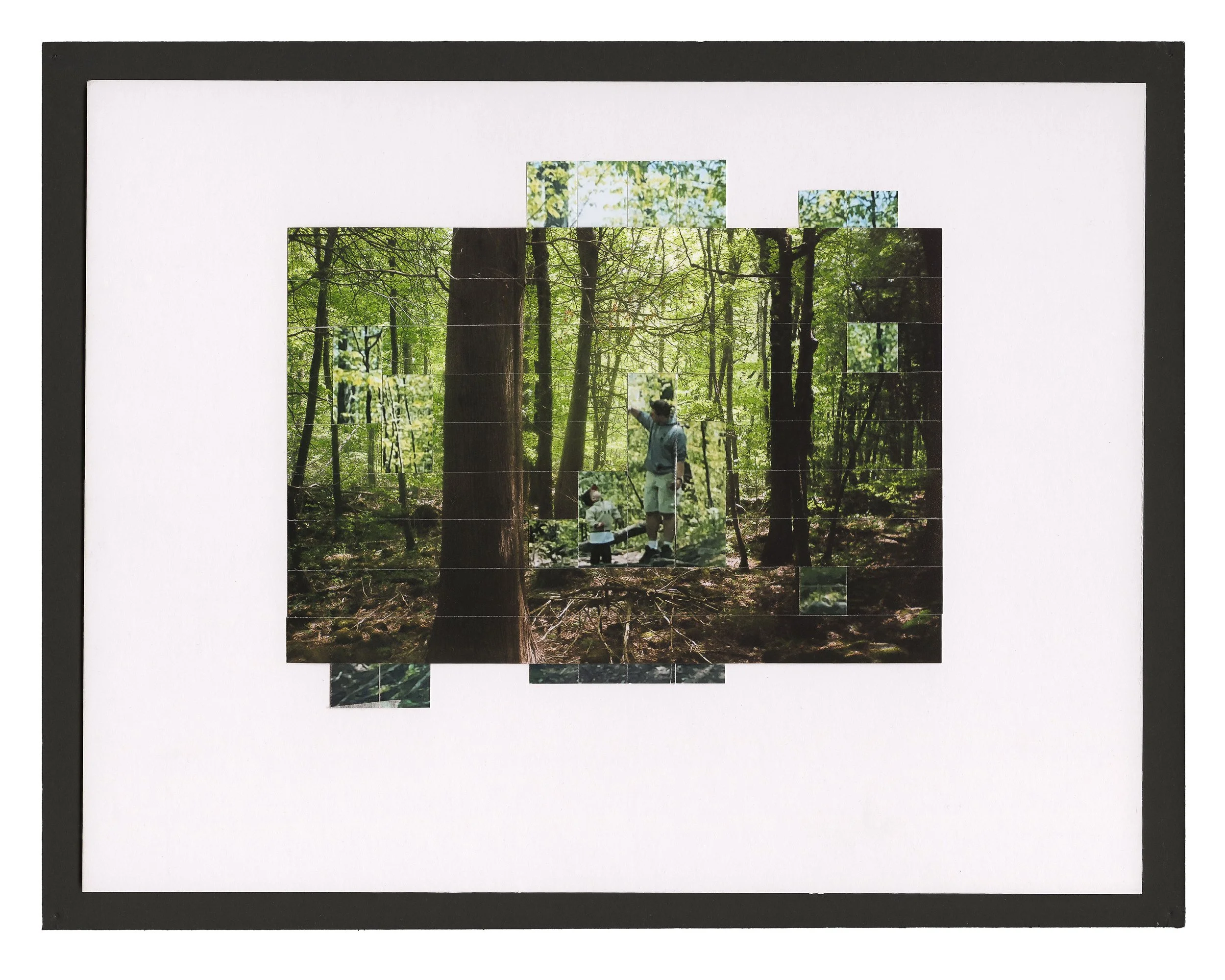 Forest copy.jpg