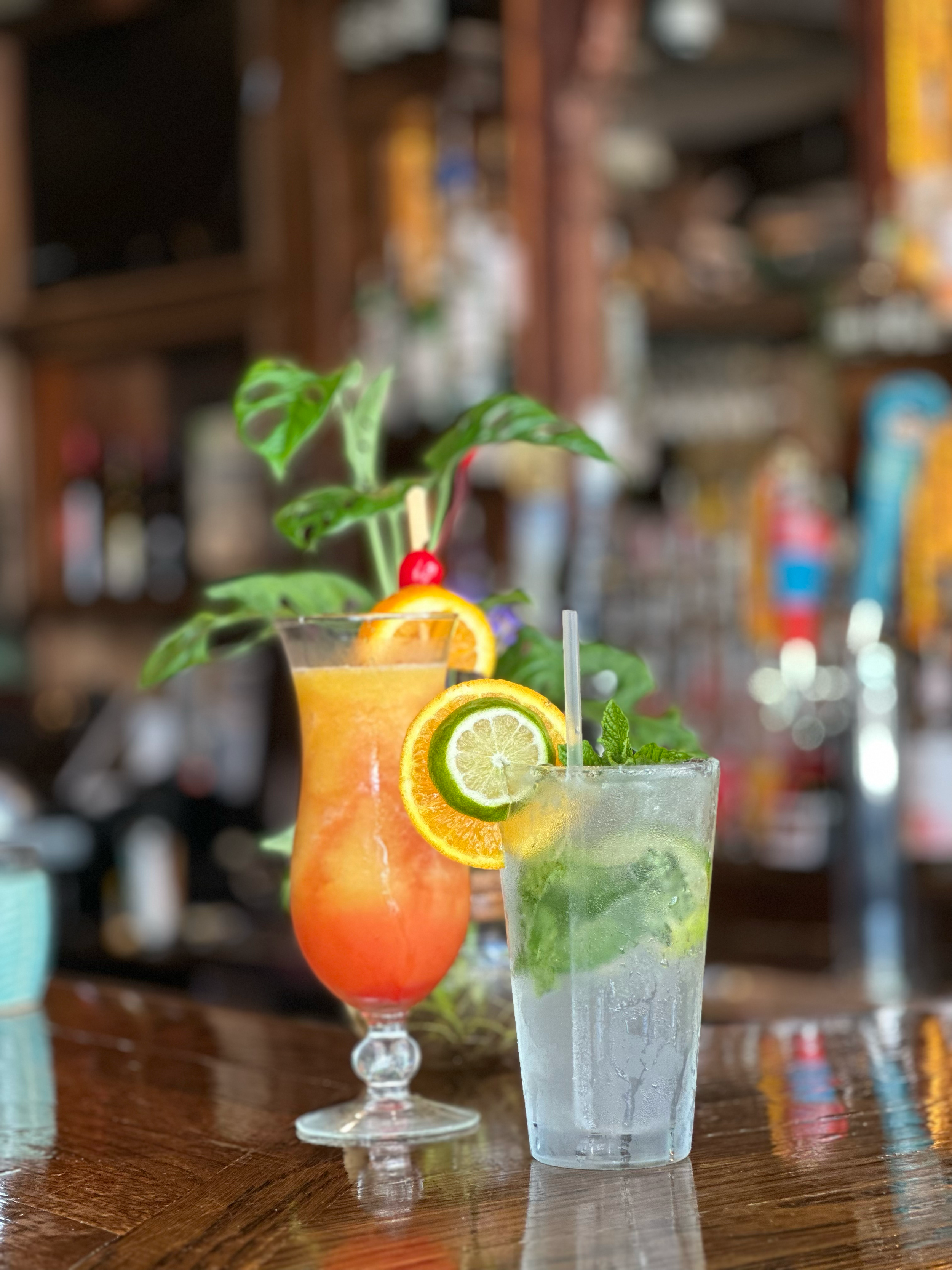 Fresh oysters and seafood at Lunasea