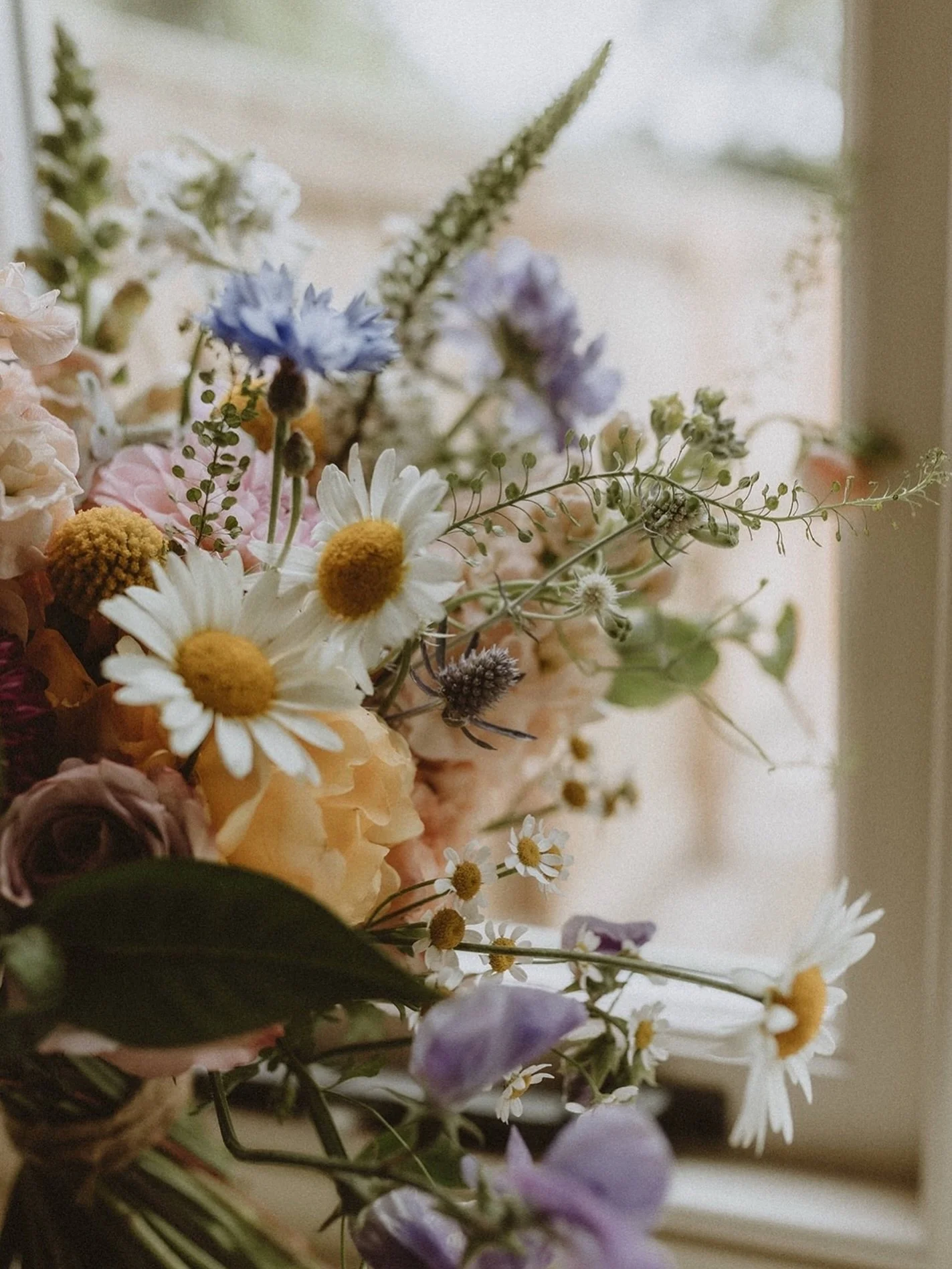 I&rsquo;ve realised I actually love the new year.
There&rsquo;s something so hopeful about fresh starts and new plans taking shape 🌱

I&rsquo;ve had some really lovely enquiries for 2027, and a couple of beautiful new 2026 bookings, which I&rsquo;m 