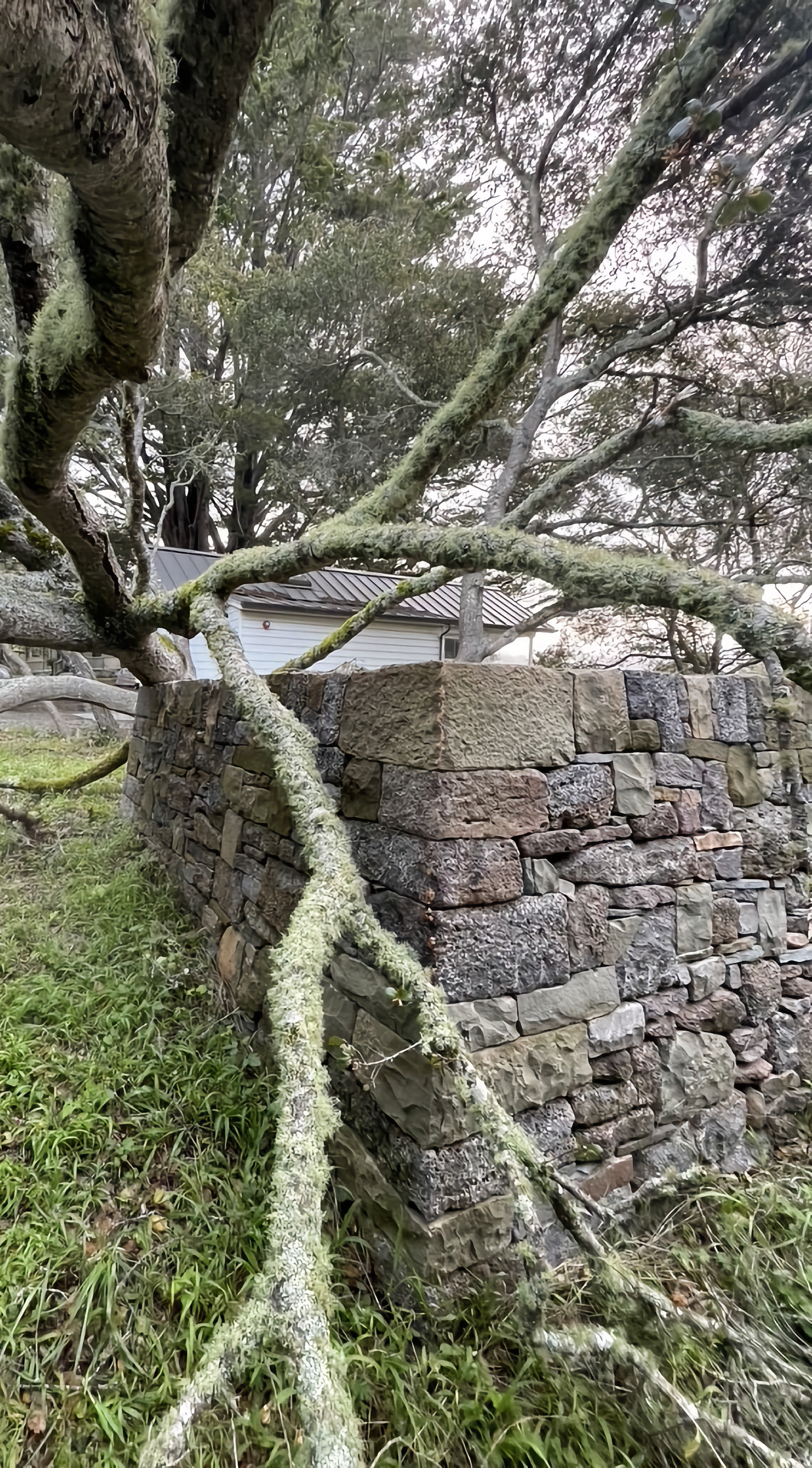 wall.png