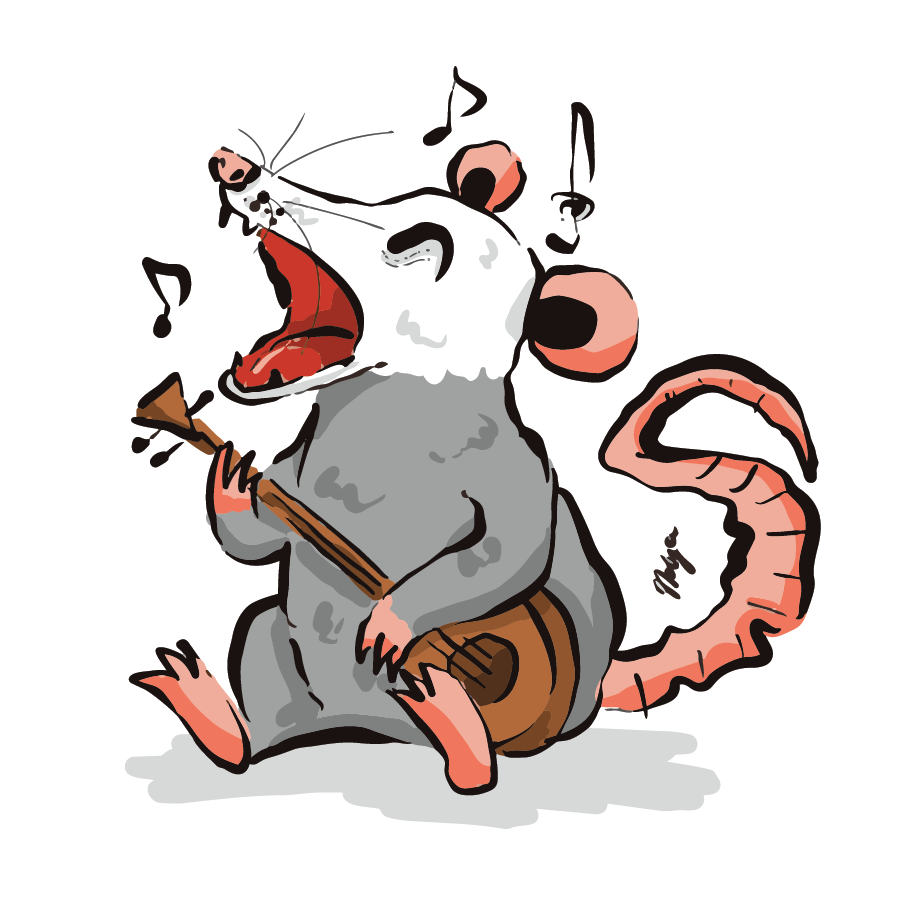 Midnight Serenade Opossum
