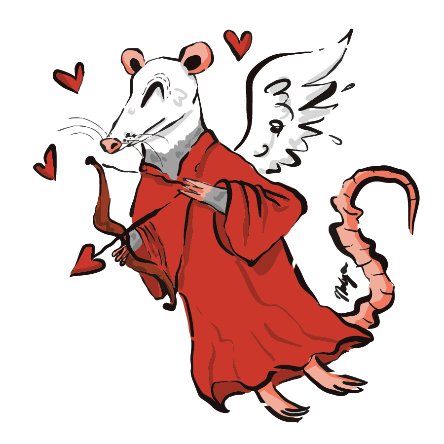 Cupid Opossum