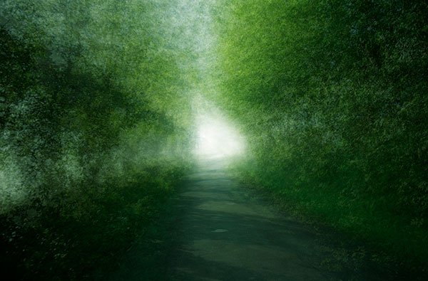 End of the Lane