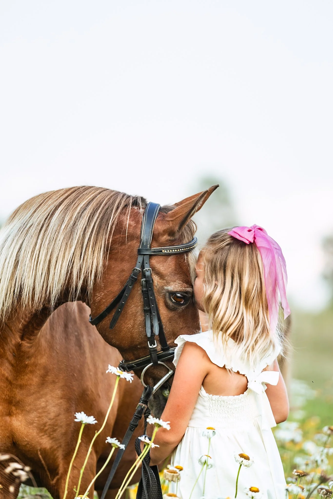 A young girl with blonde hair, wearing a white dress and pink bow, kisses a brown horse with a blonde mane in a field of daisies.