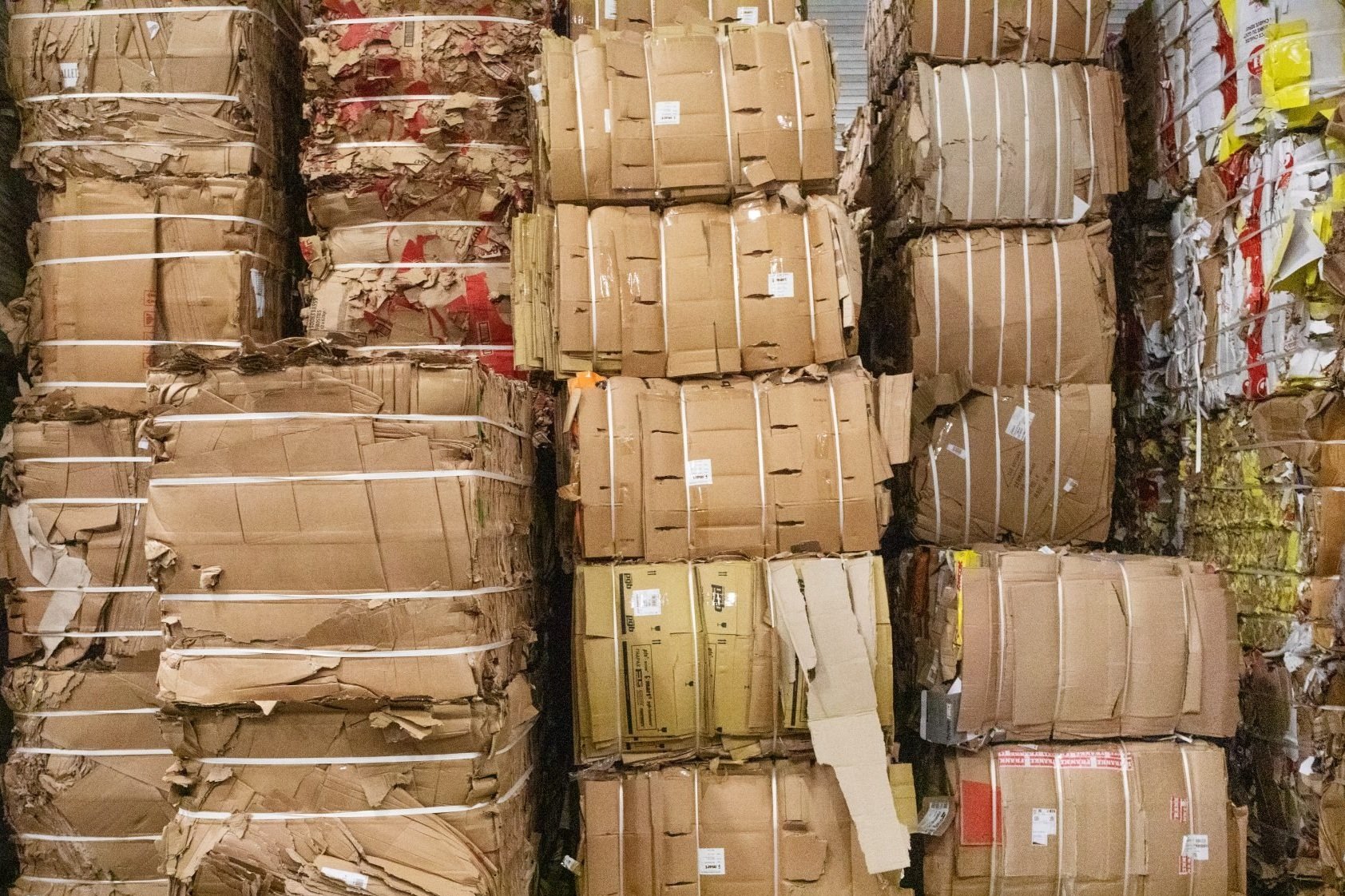 Cardboard_DFR.jpg