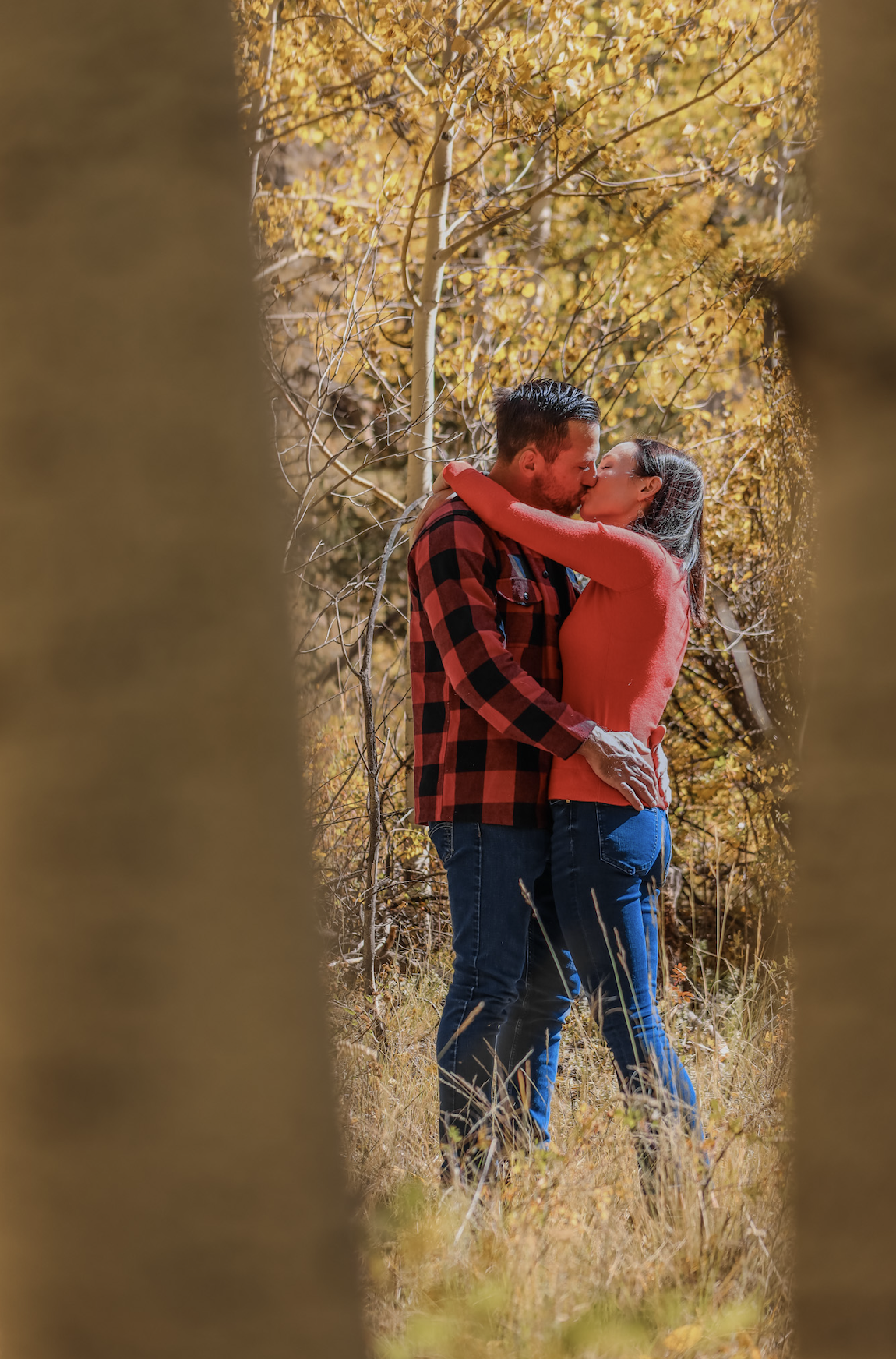 Screenshot 2024-09-24 at 11.26.04 AM.png