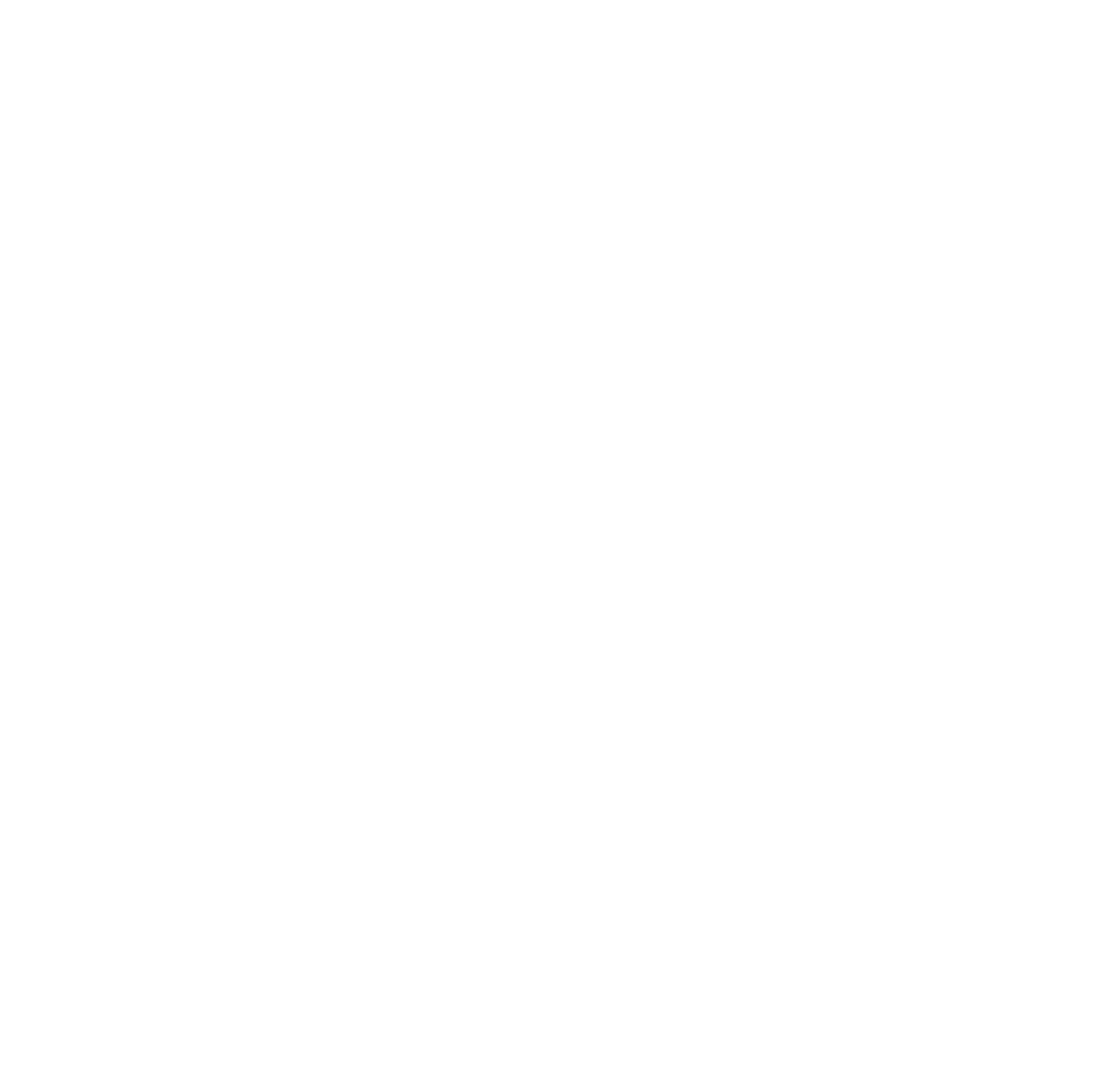 Wildcat-aug2025-logo-white.png