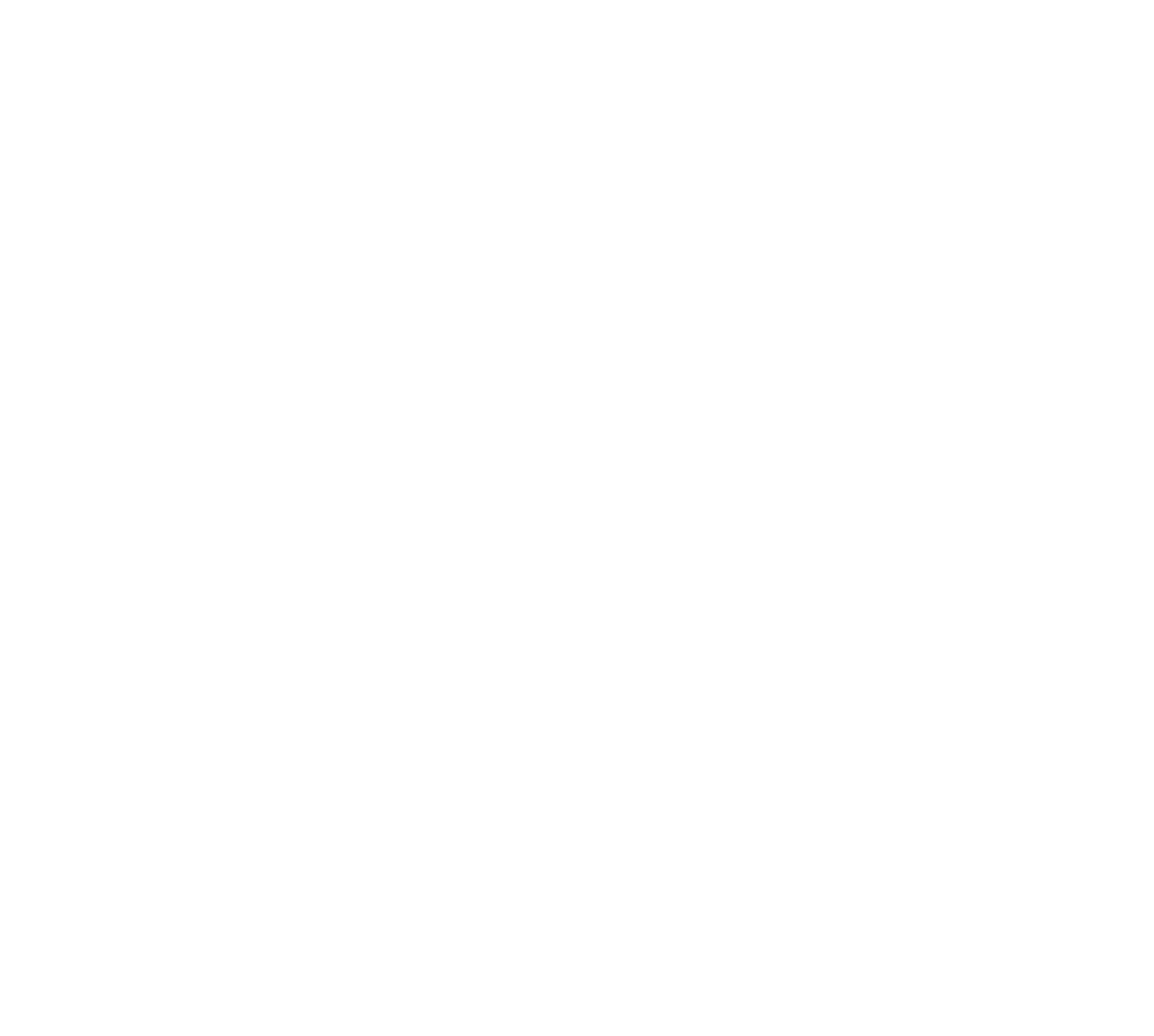 Wildcat2024-logo-white.png