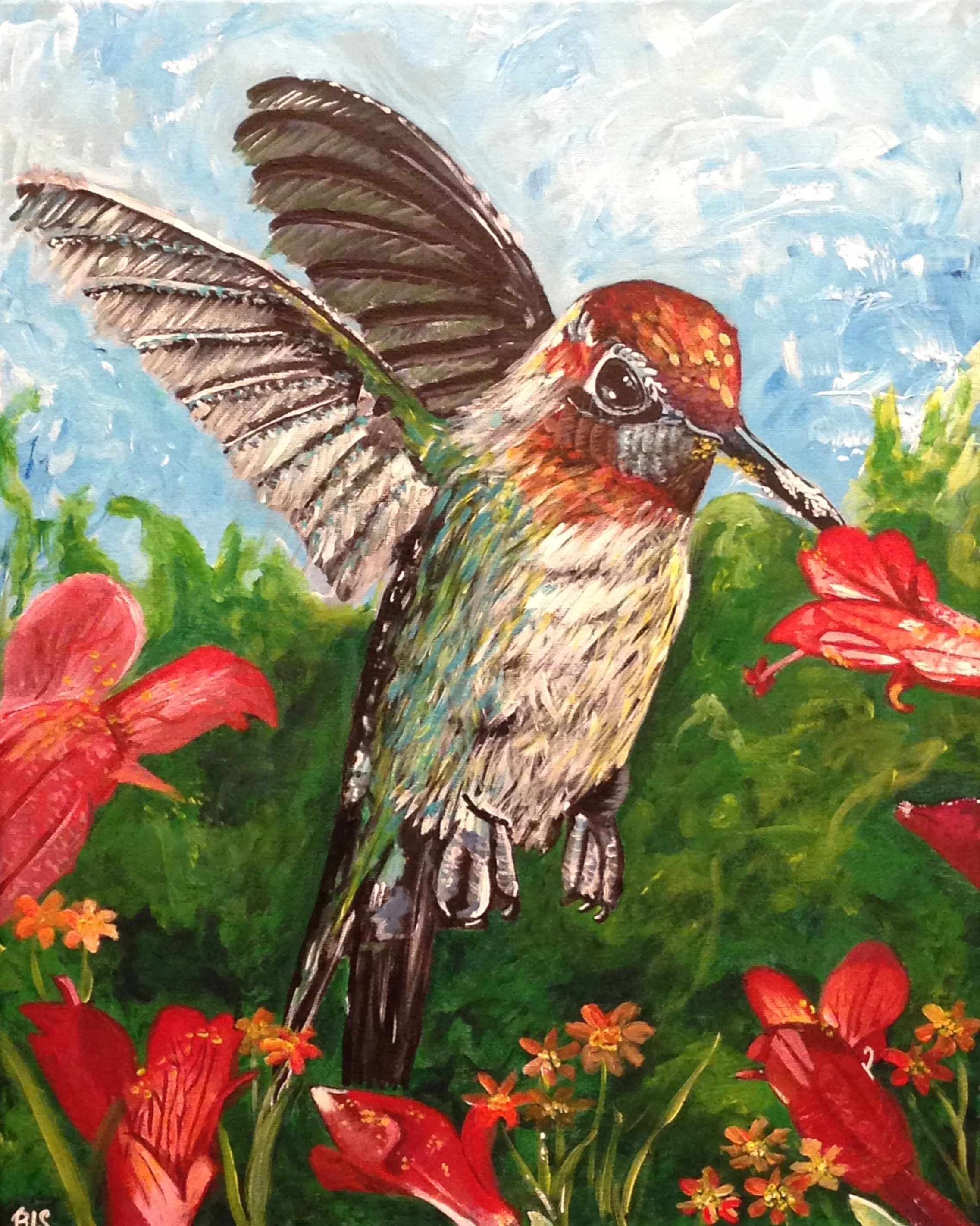 "Hummingbird" (20" x 16", acrylic on canvas). June 2014.
