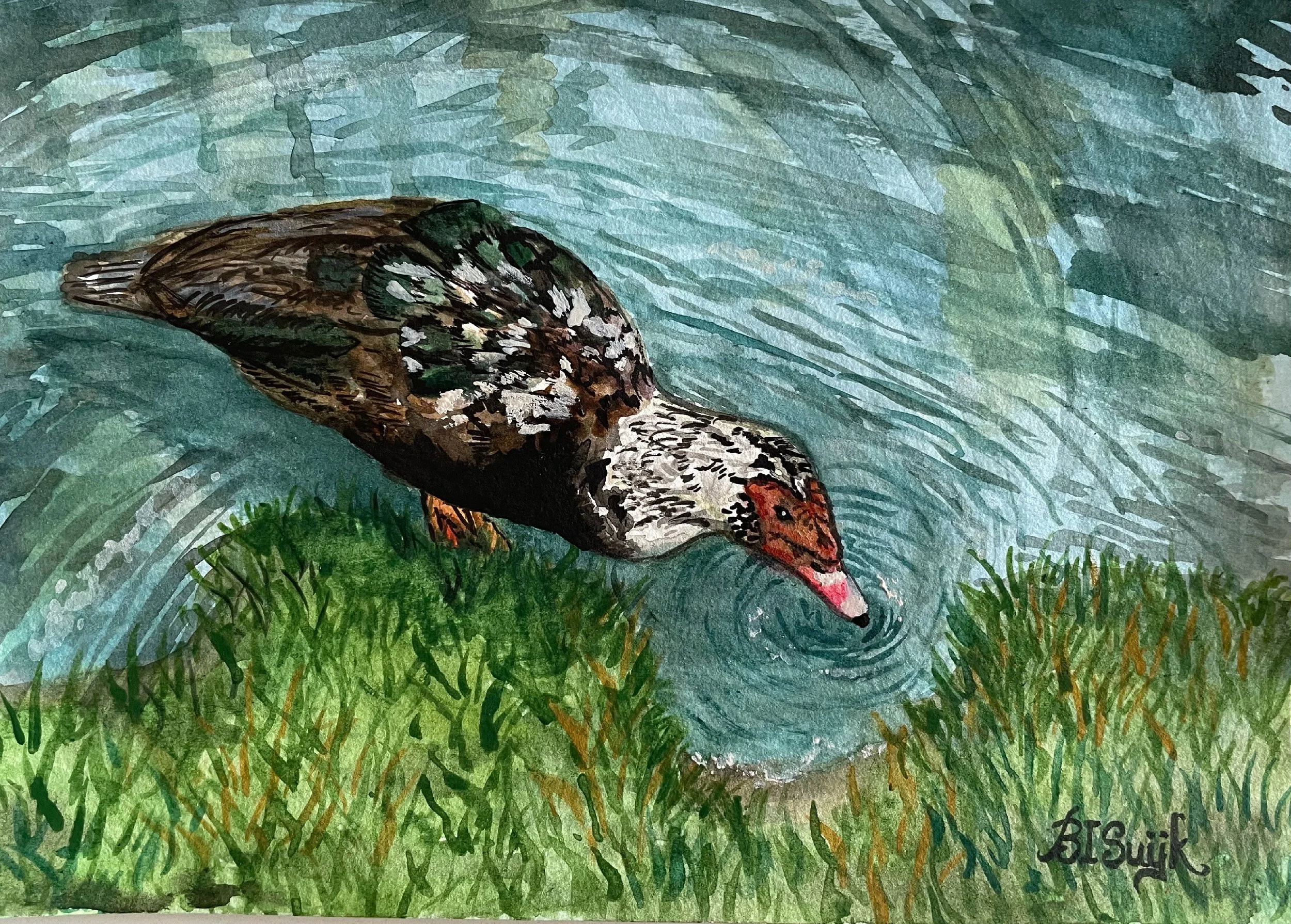 "Karl the Muscovy Duck" (10" x 7", watercolor on paper). May 2021.