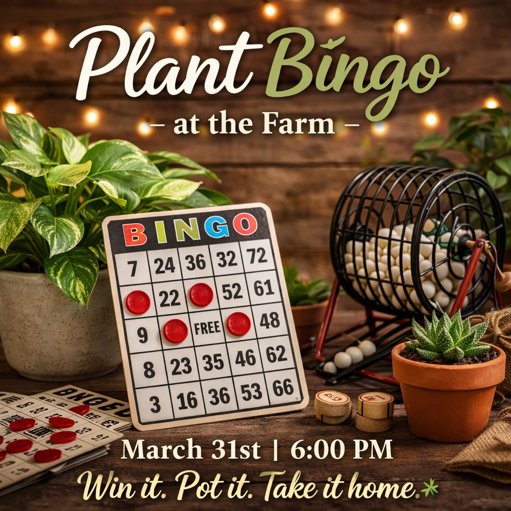 ChatGPT Image Feb 28, 2026, 08_49_48 PM.png