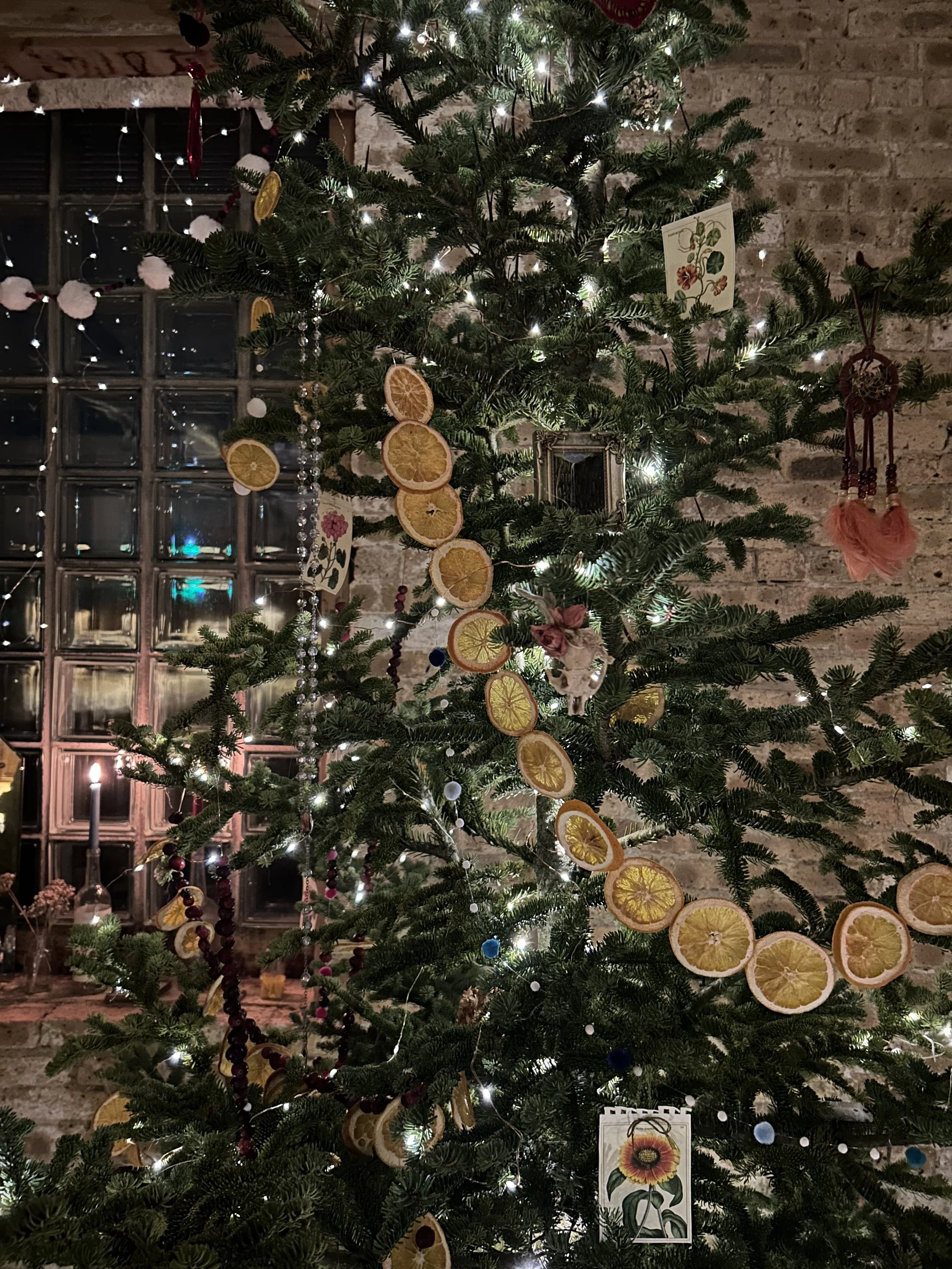 Christmas Tree 2023.jpg