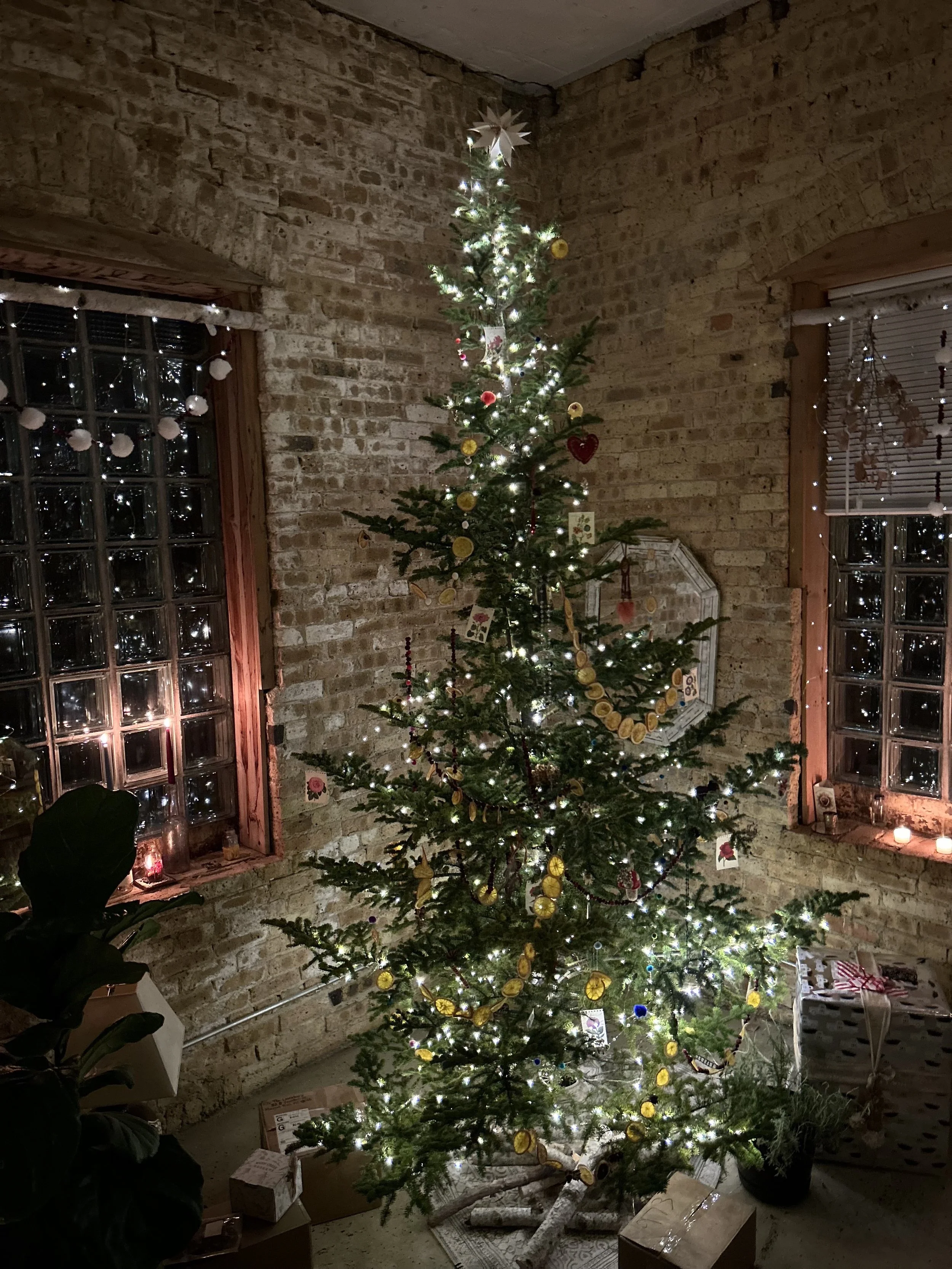 Christmas Tree (3).jpg