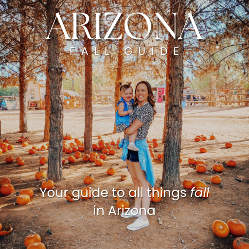 Arizona Fall Guide