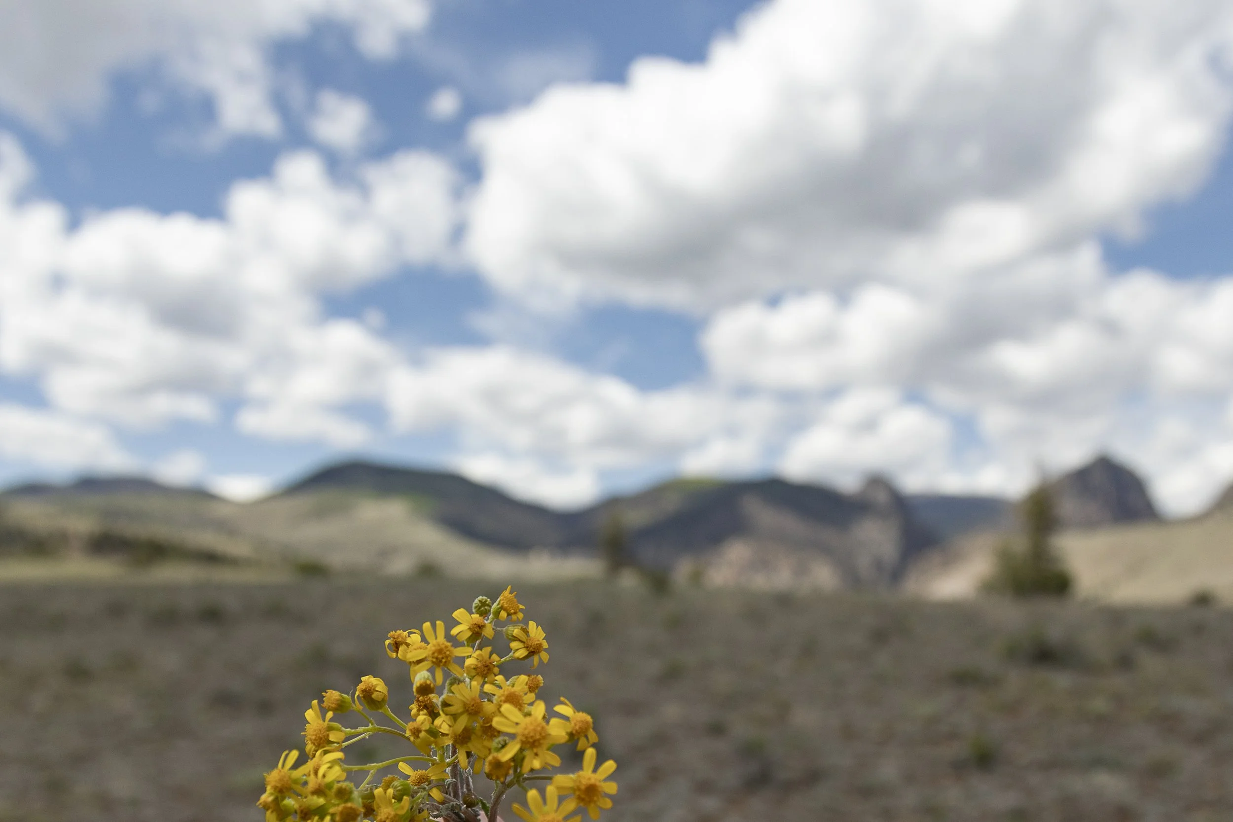 Real Estate Creede Hermit Lakes -1278.jpg