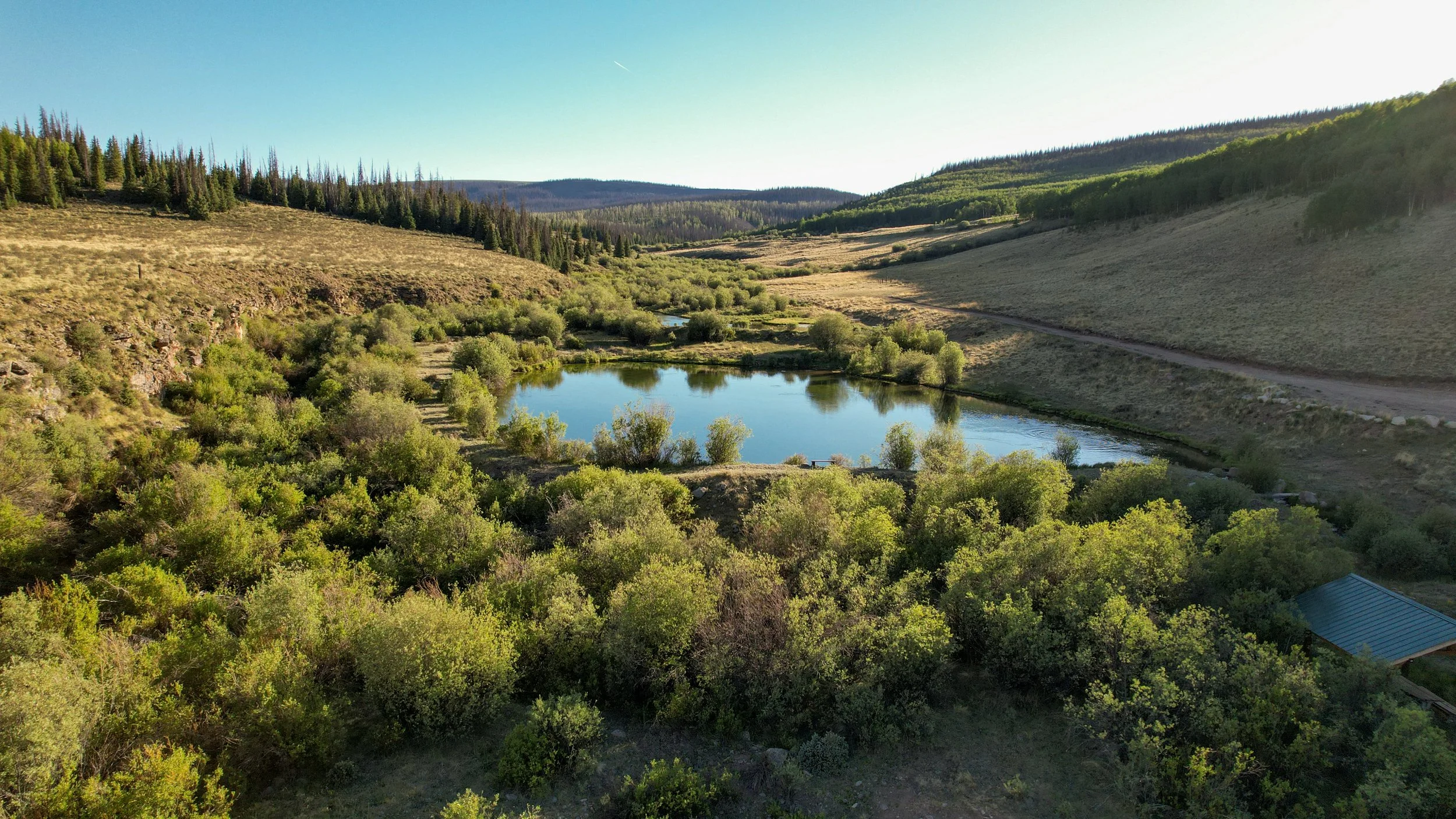 dji_fly_20260618_185918_468_1781836886053_photo.jpg