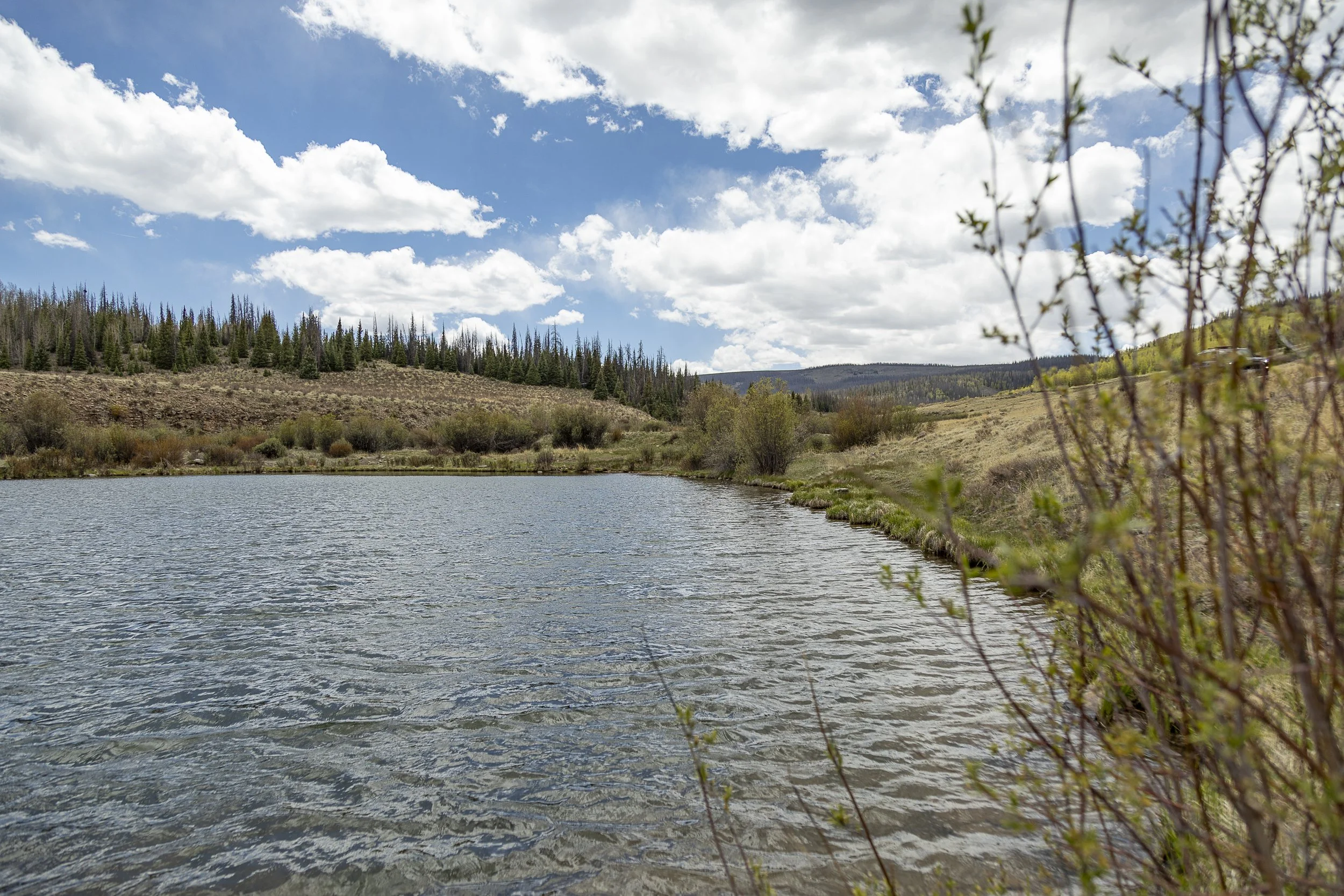 Oleo Ranch Cabins for Sale -4503.jpg