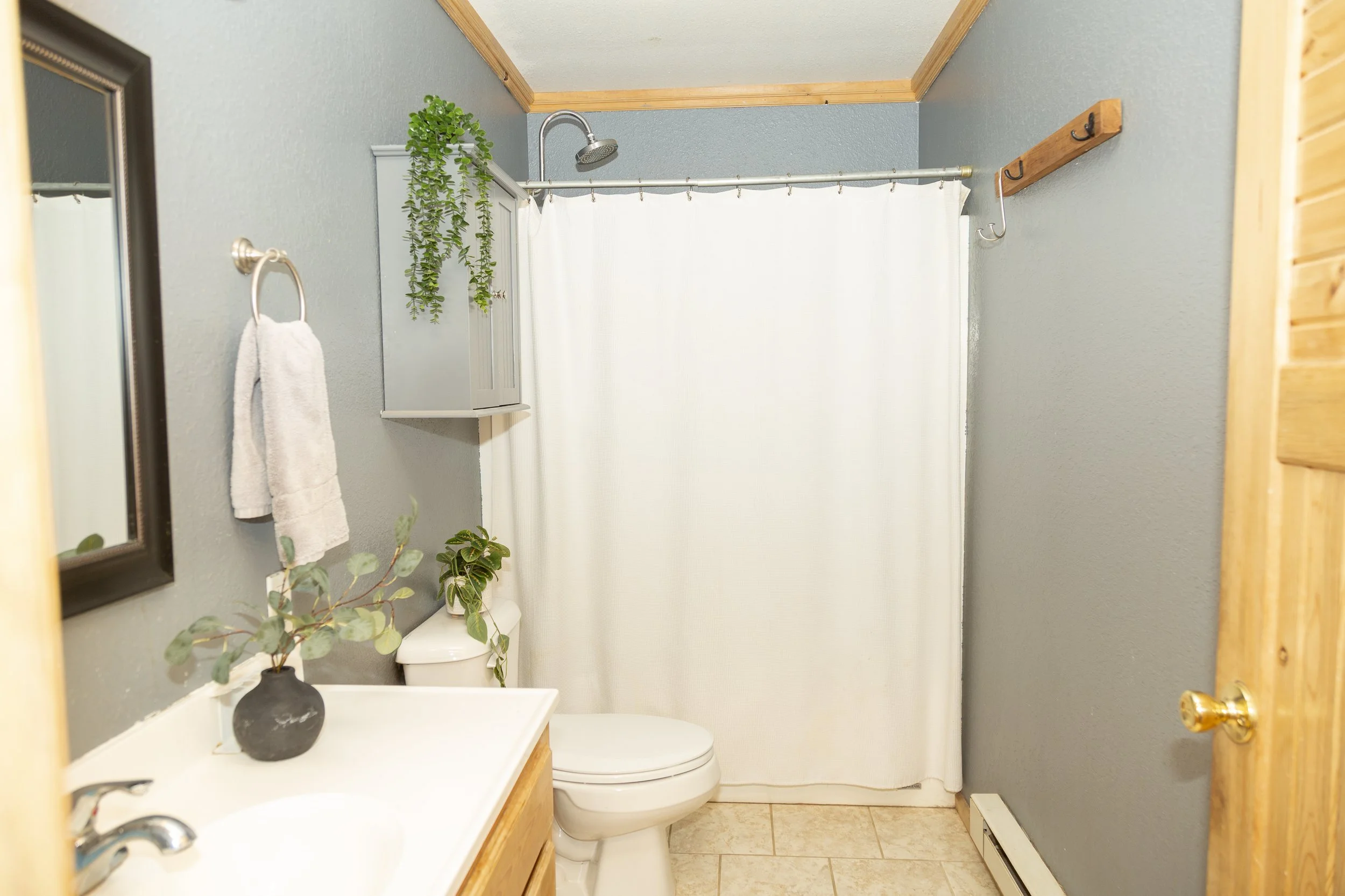 Creede Cabin for Sale -9984.jpg