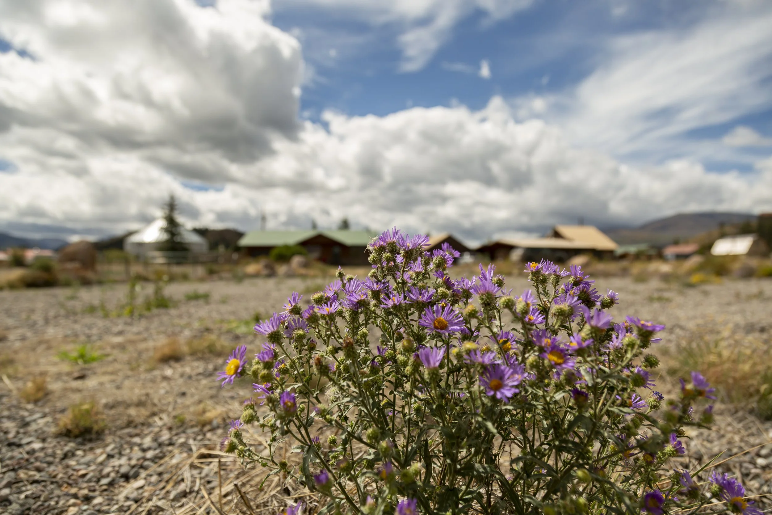 Quarter Acre lot for Sale in Creede-6832.jpg