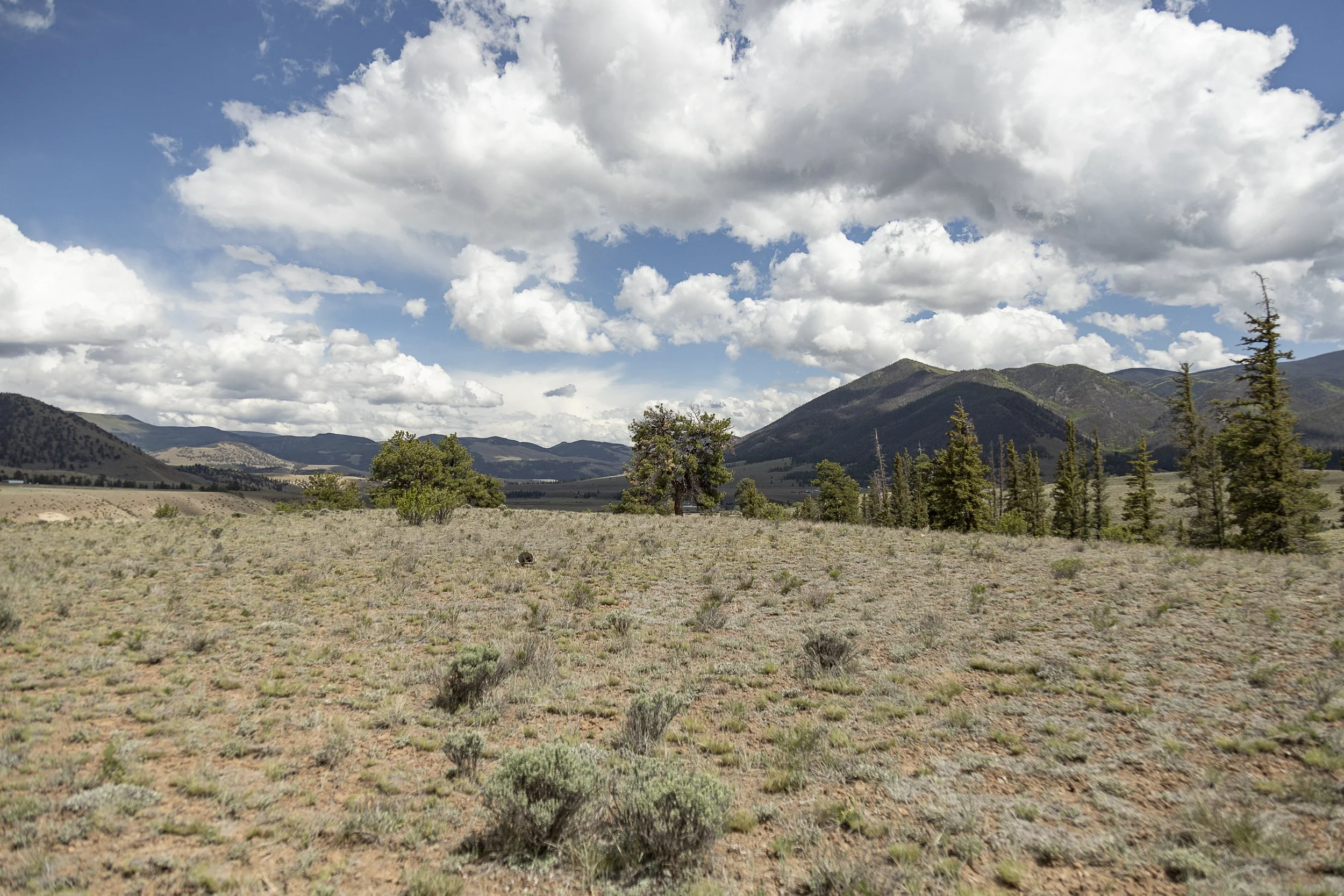 Real Estate Creede Hermit Lakes -1270.jpg