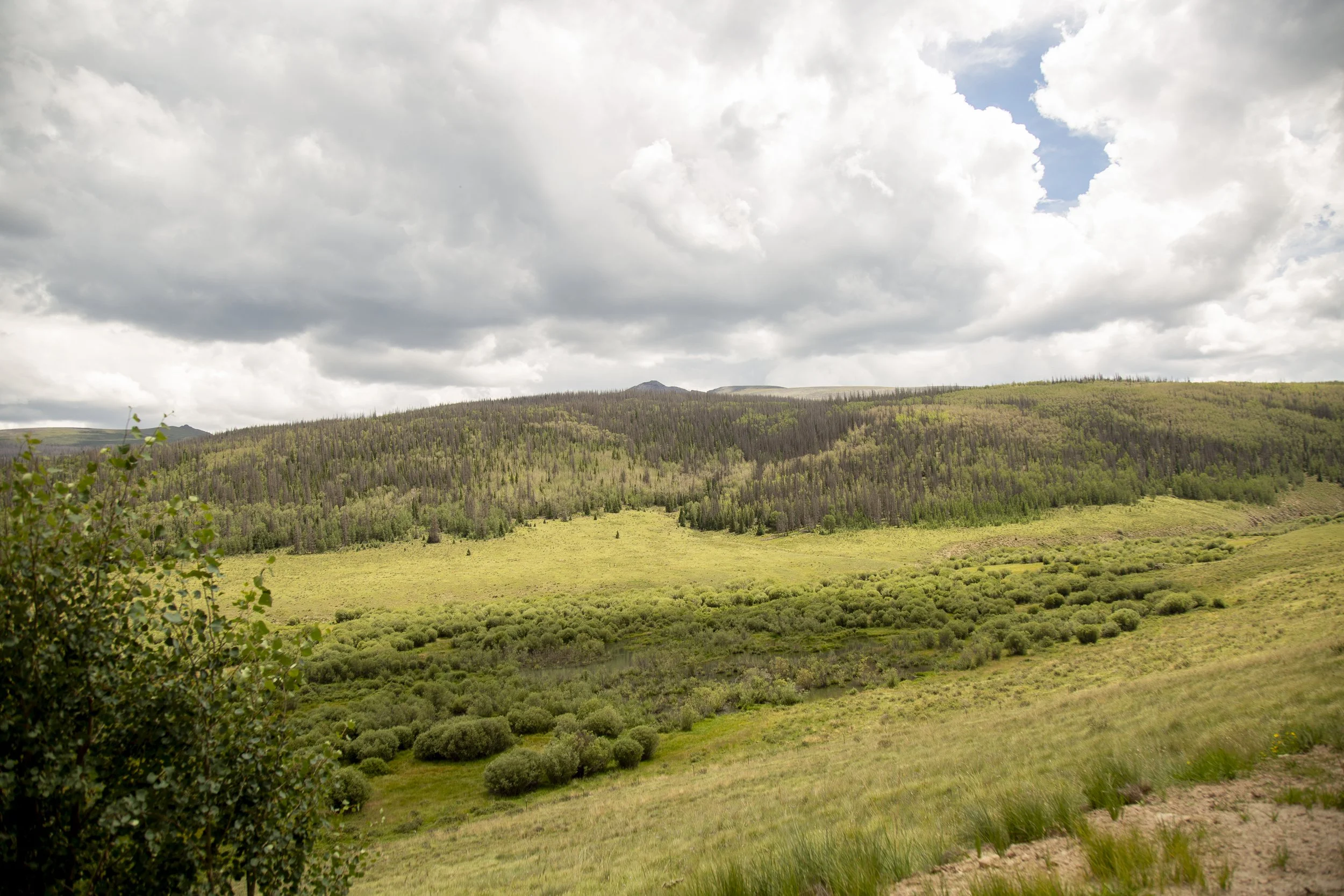 AA6A7509.jpg