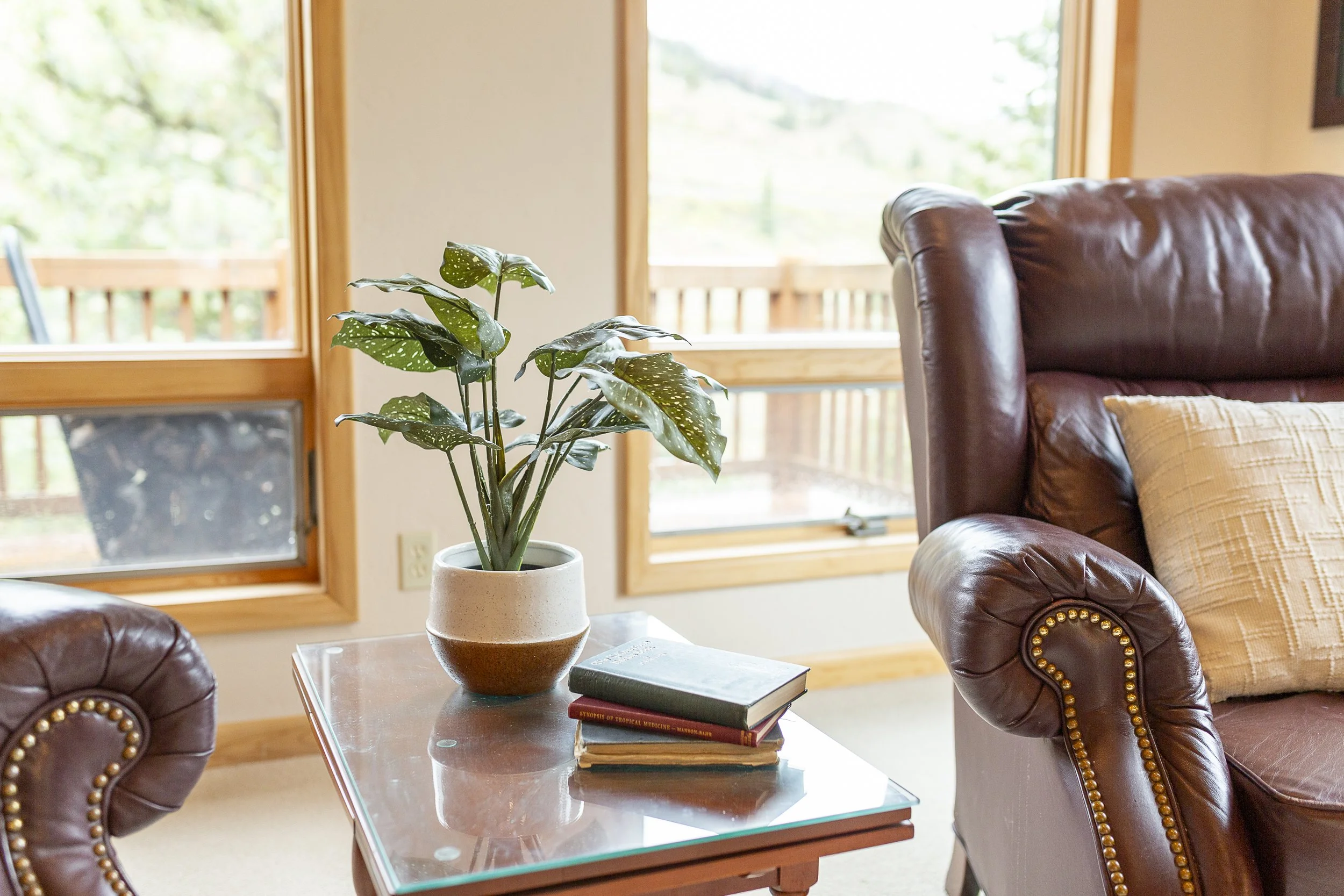 River Front Home in Creede -0515.jpg