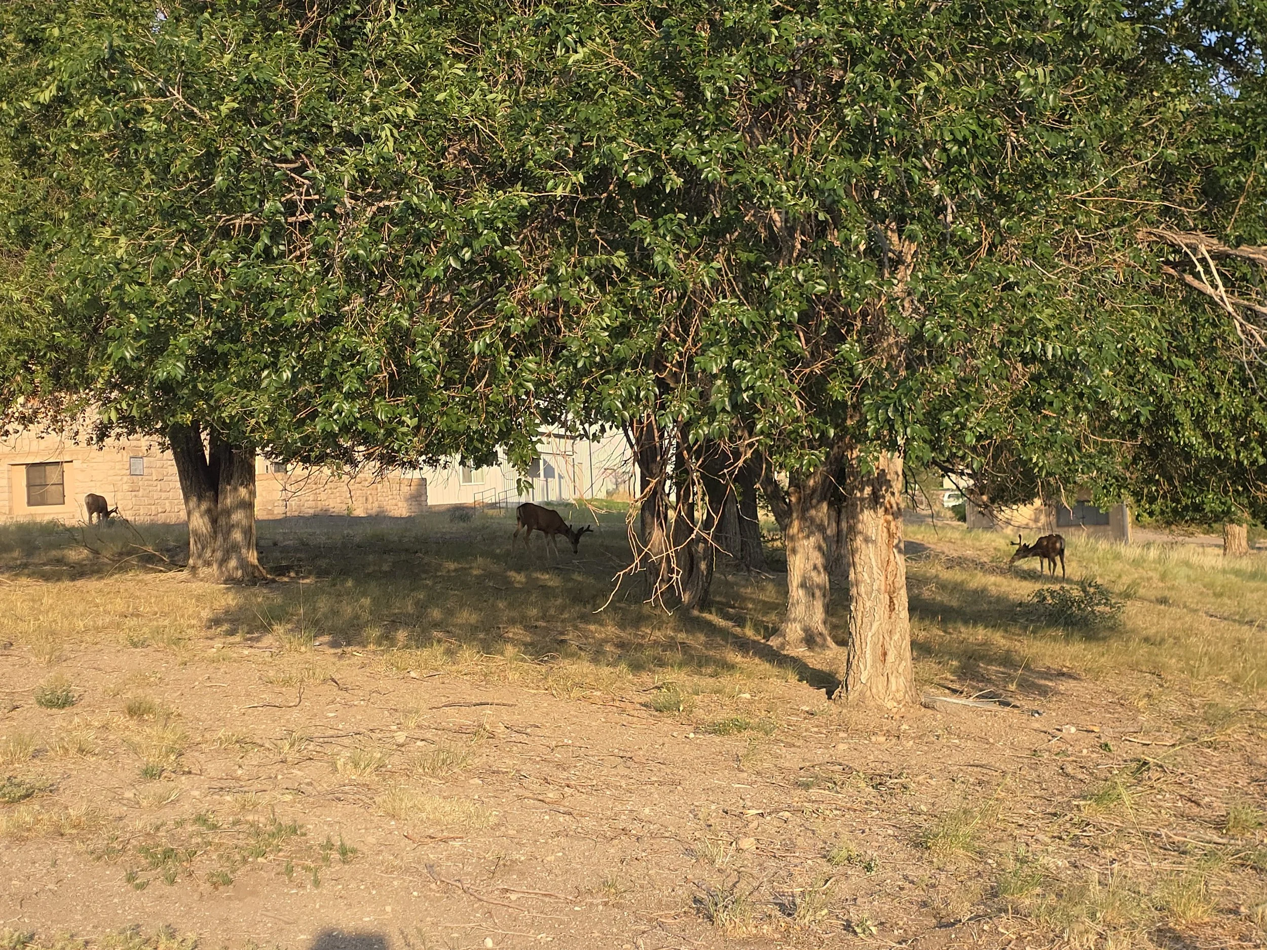 1000019542.jpg