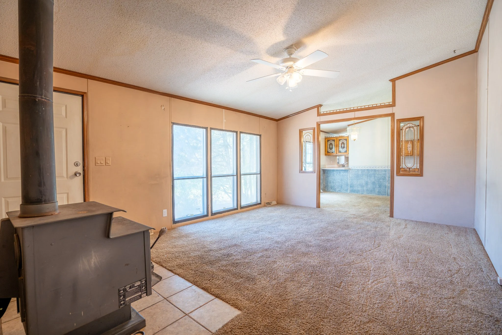 11 - 755 Cedar St - Living Room.jpg