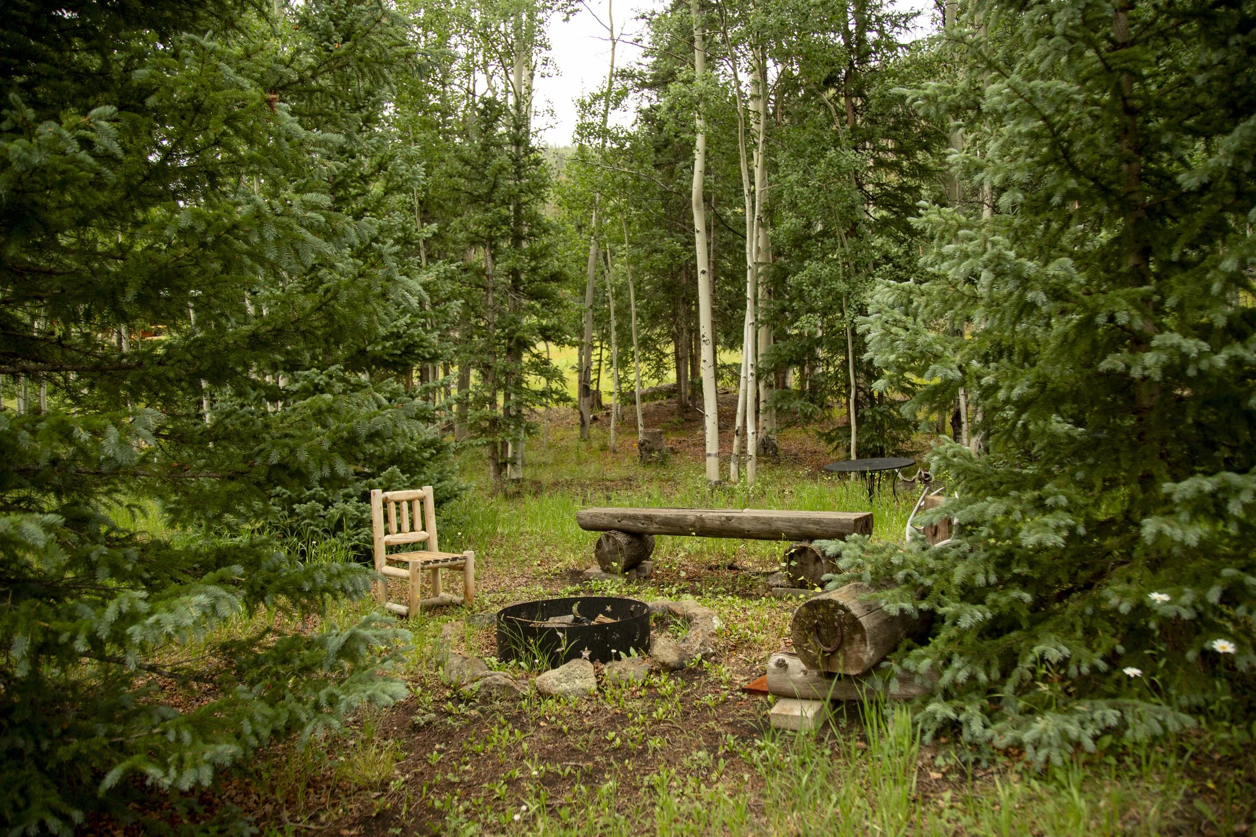 AA6A0852.jpg